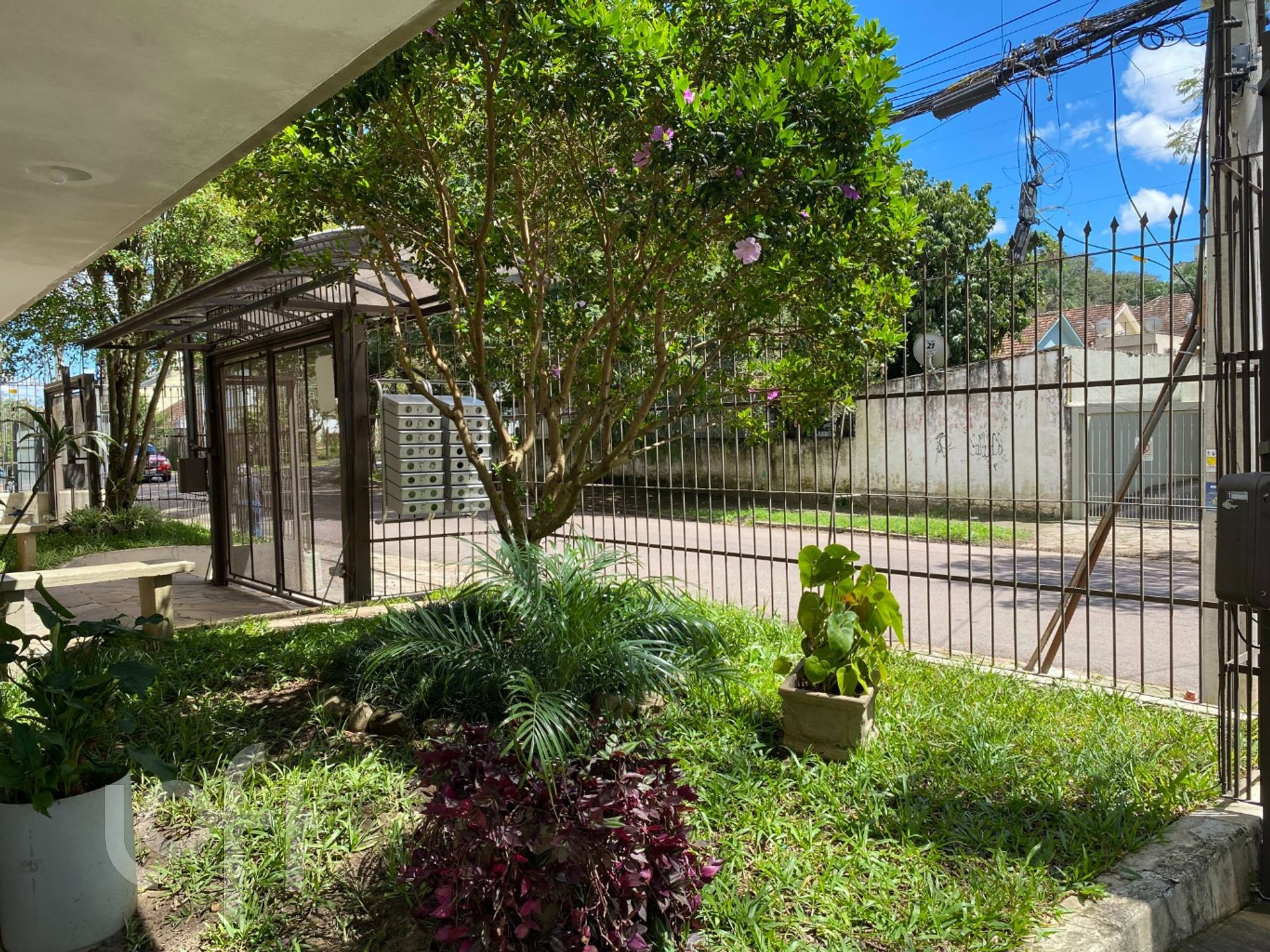 Imagem da propriedade 29