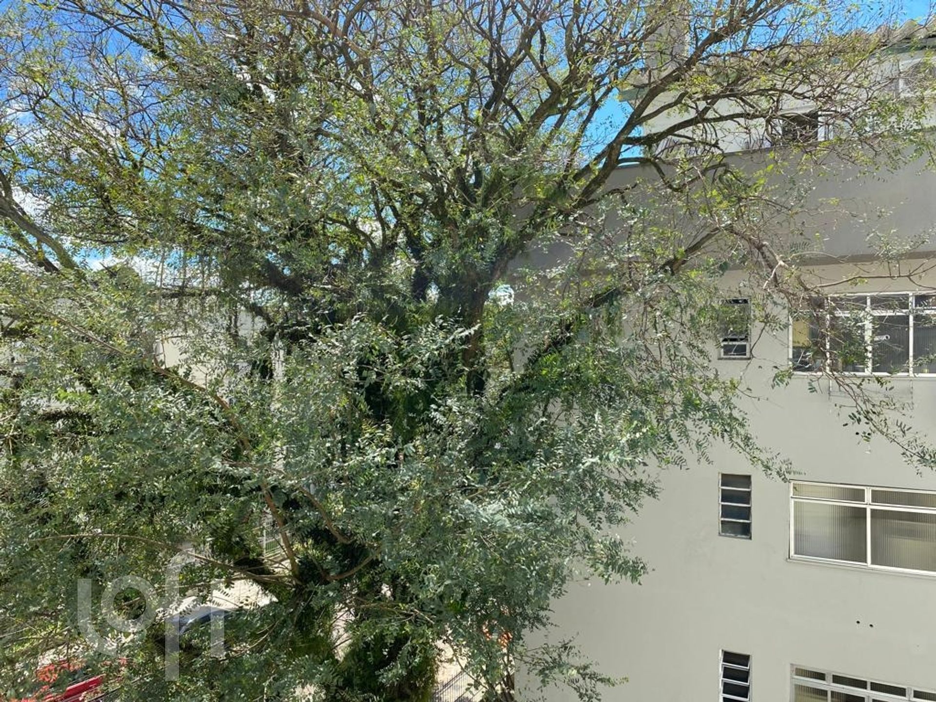 Imagem da propriedade 15