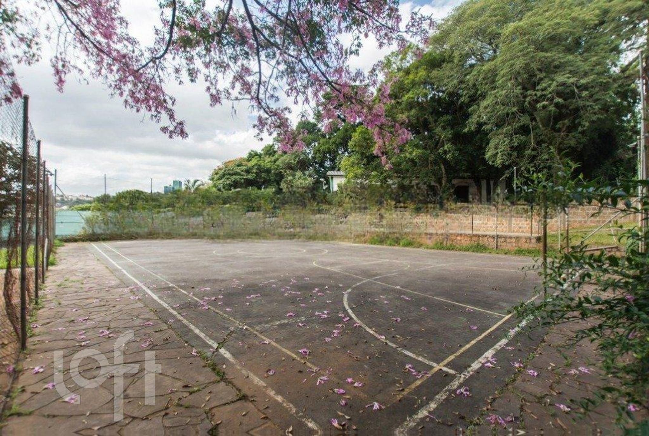 Imagem da propriedade 31