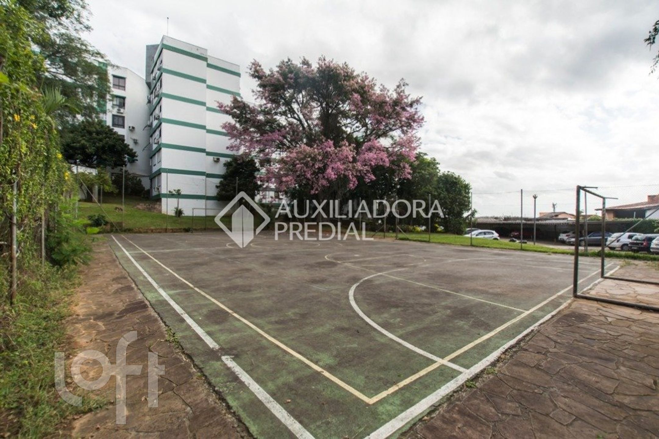 Imagem da propriedade 29