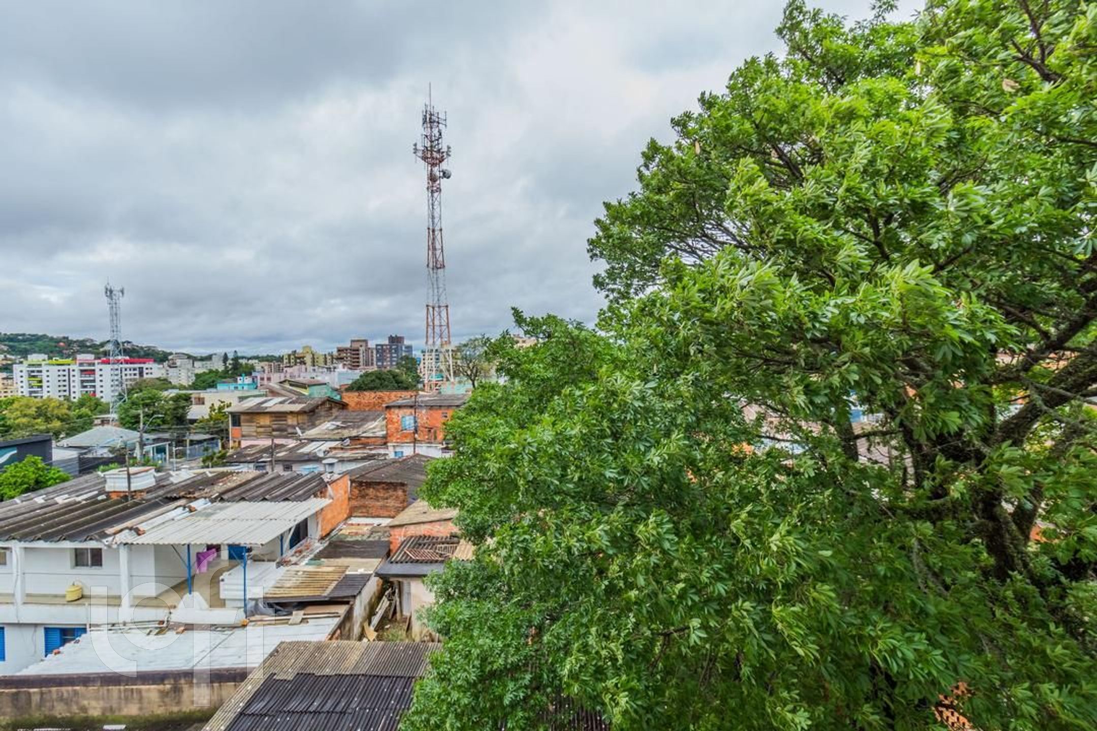 Imagem da propriedade 5