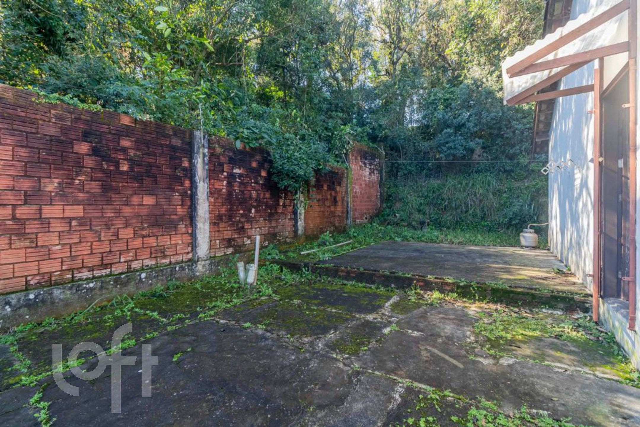 Imagem da propriedade 19