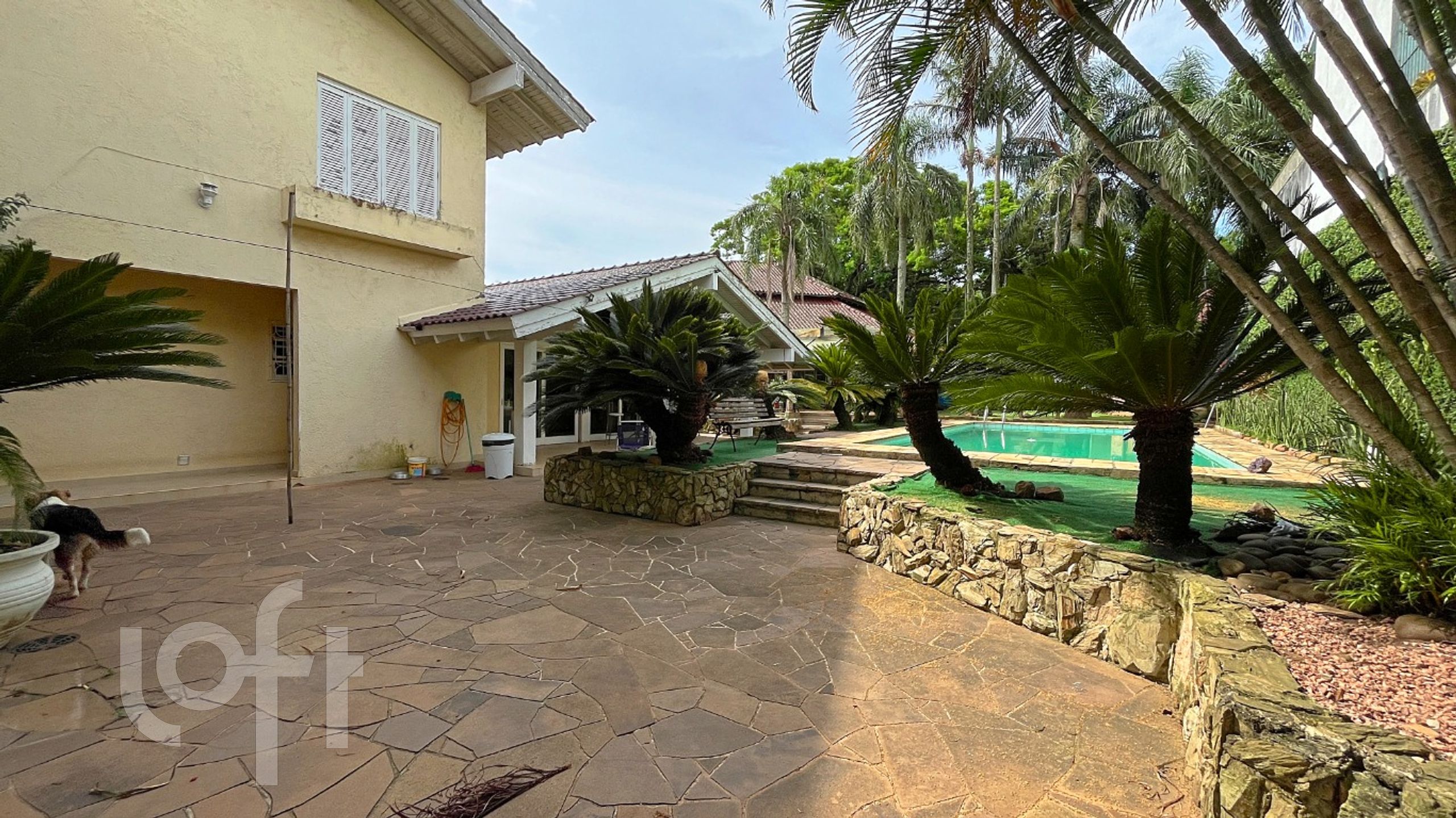 Imagem da propriedade 19