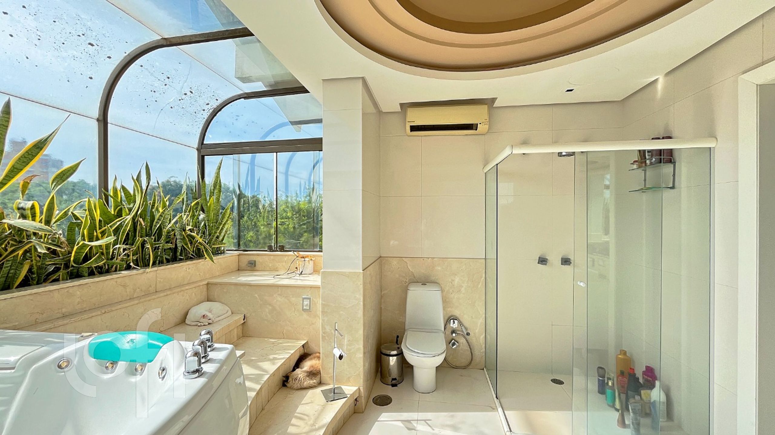 Imagem da propriedade 29