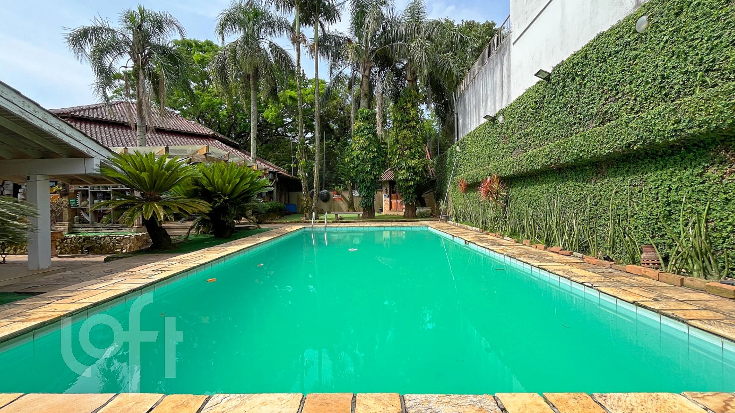 Imagem da propriedade 51