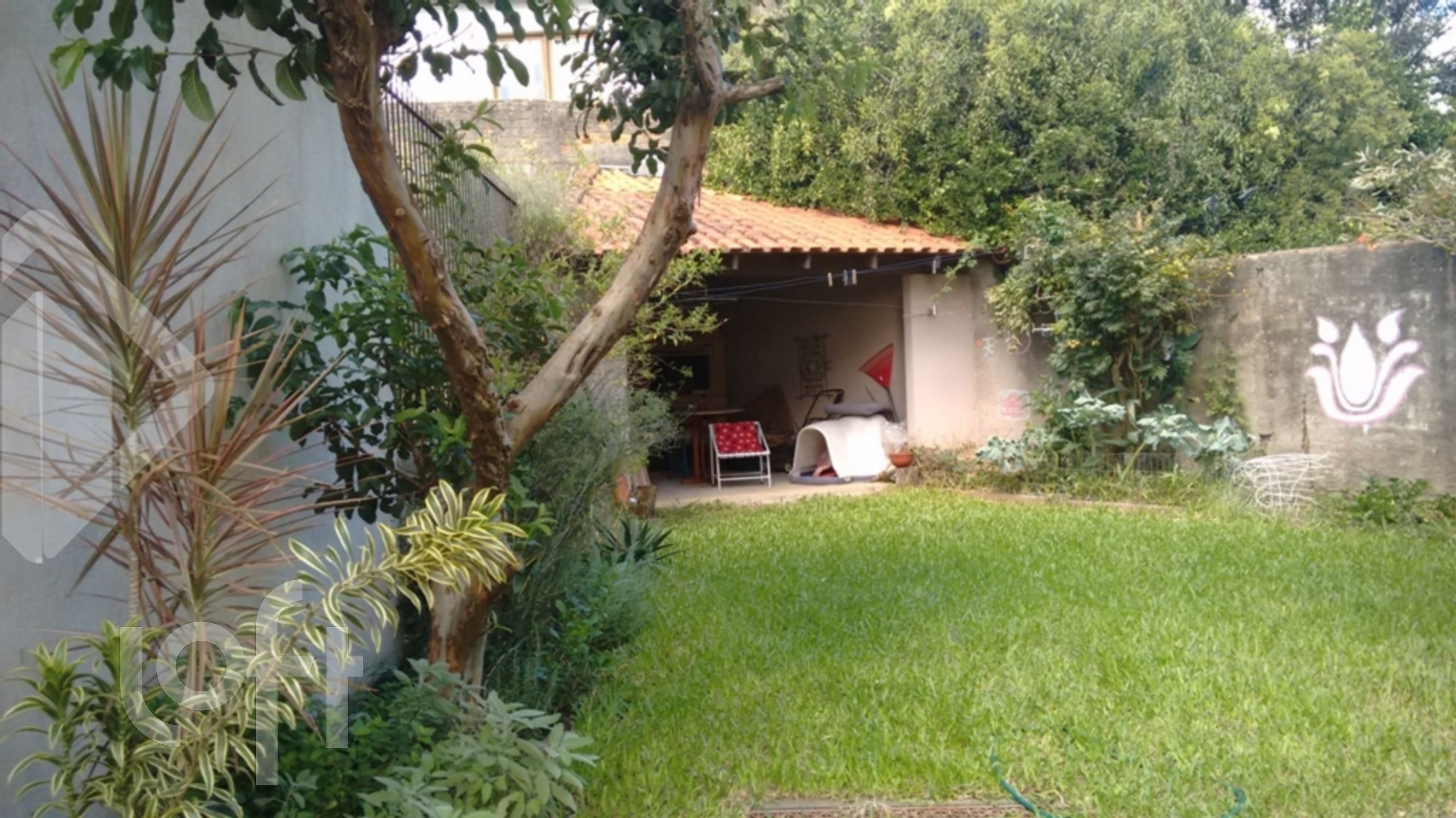 Imagem da propriedade 26