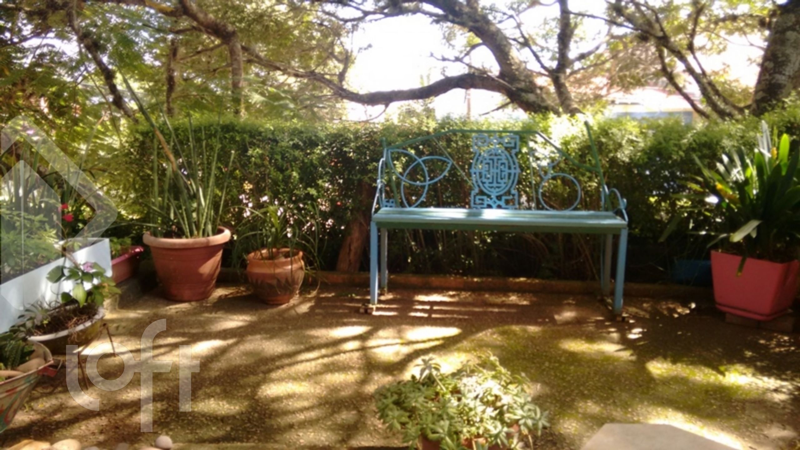 Imagem da propriedade 29