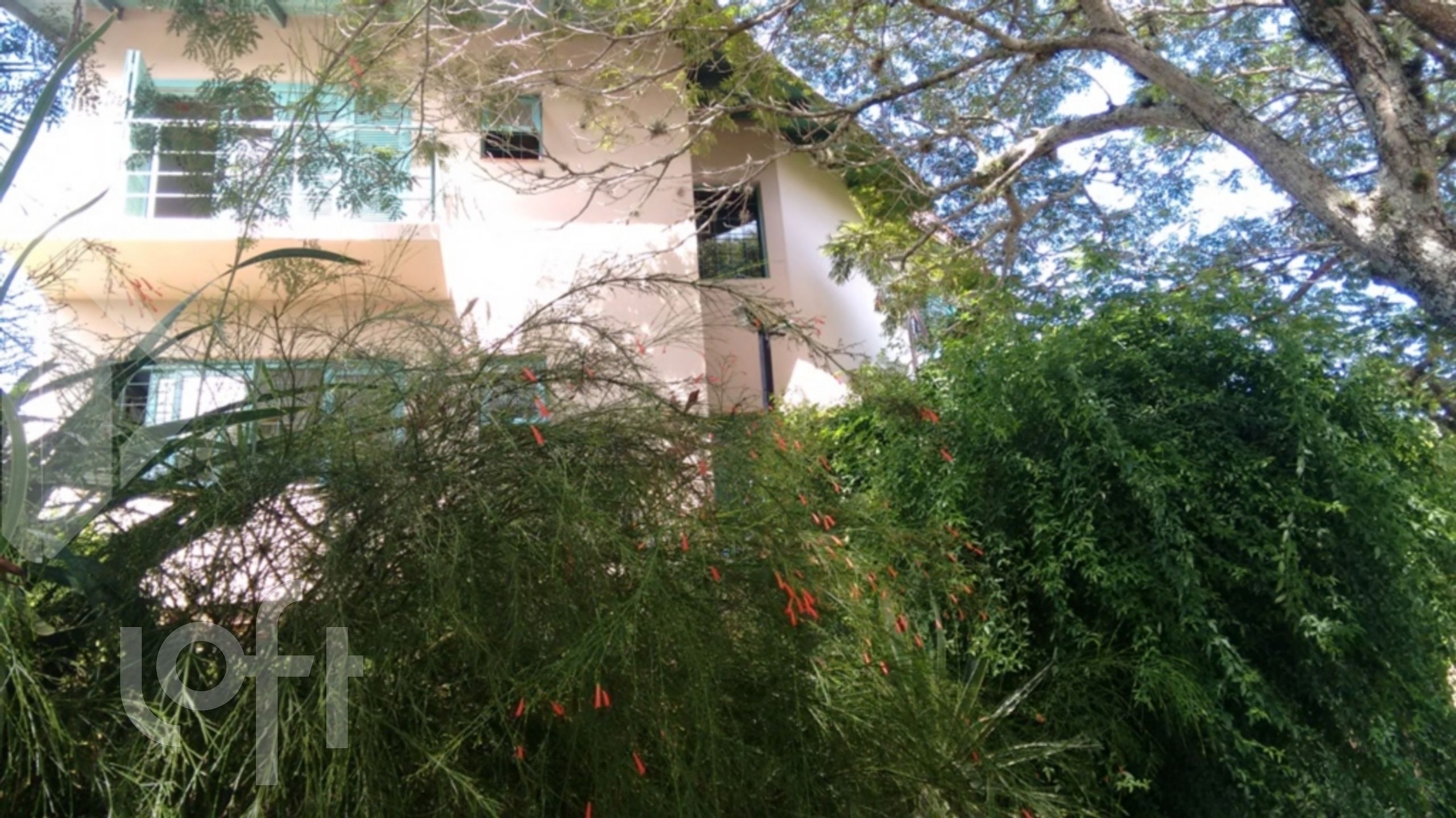 Imagem da propriedade 27