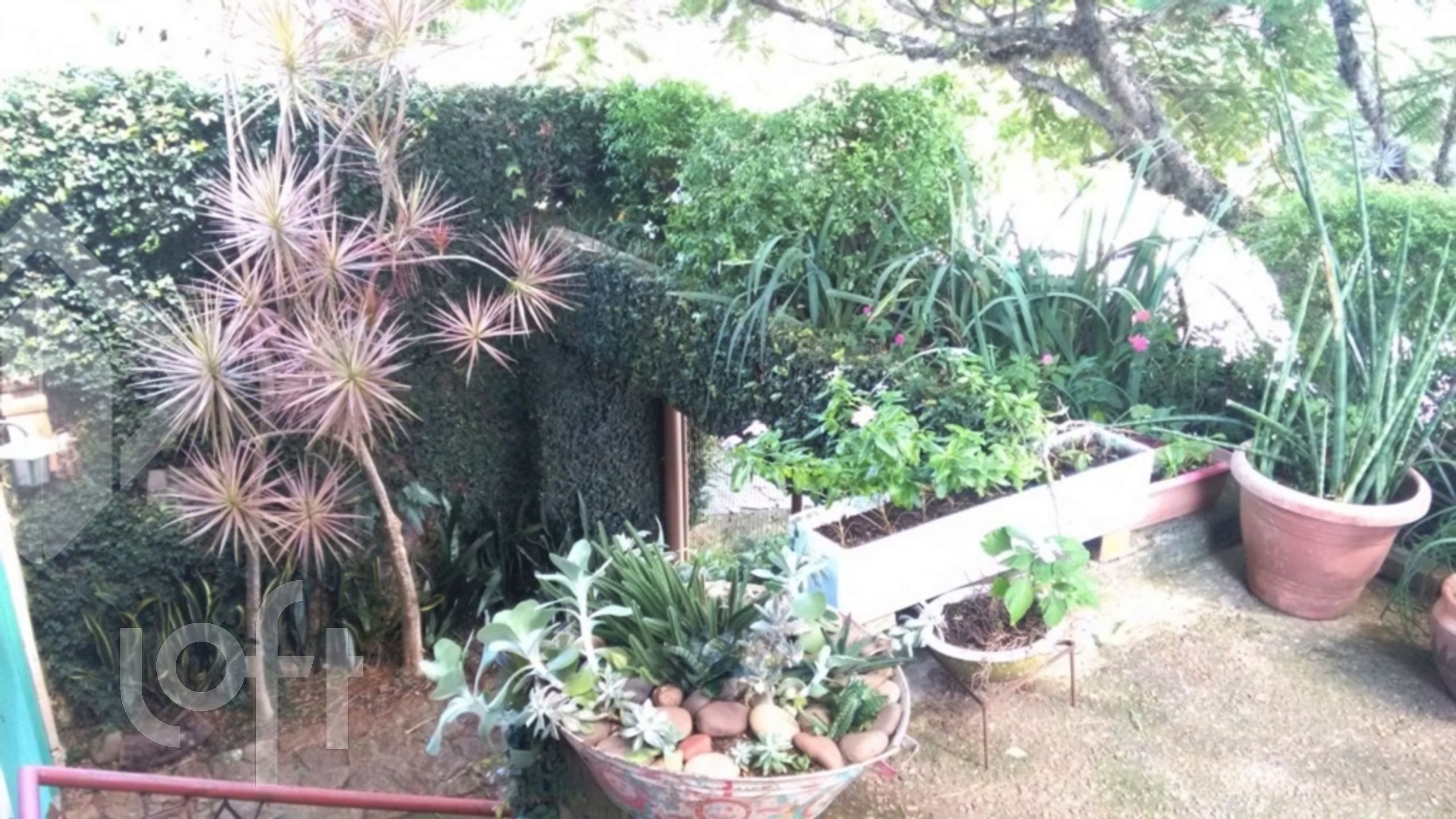 Imagem da propriedade 28