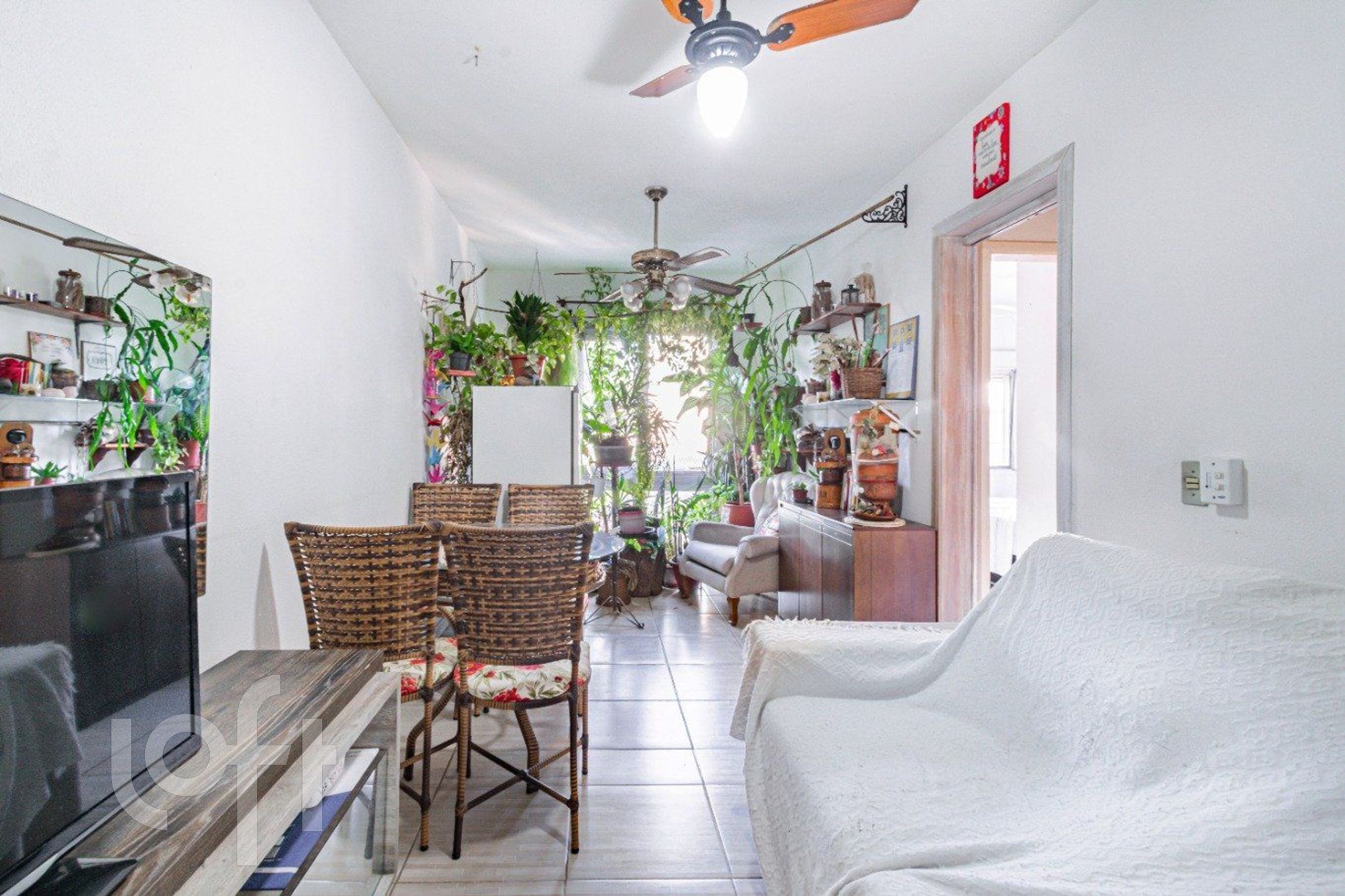 Imagem da propriedade 3