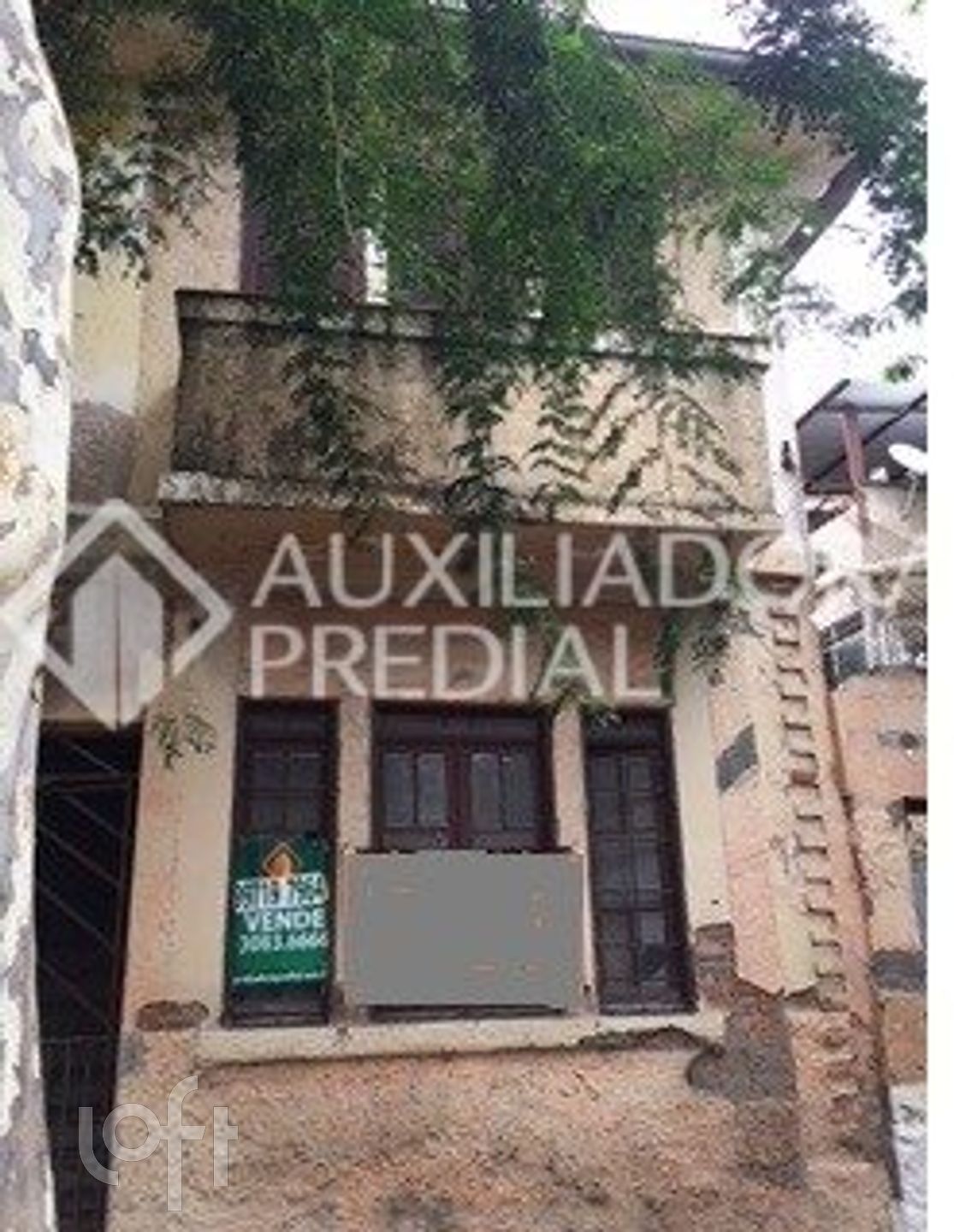 Imagem da propriedade 3