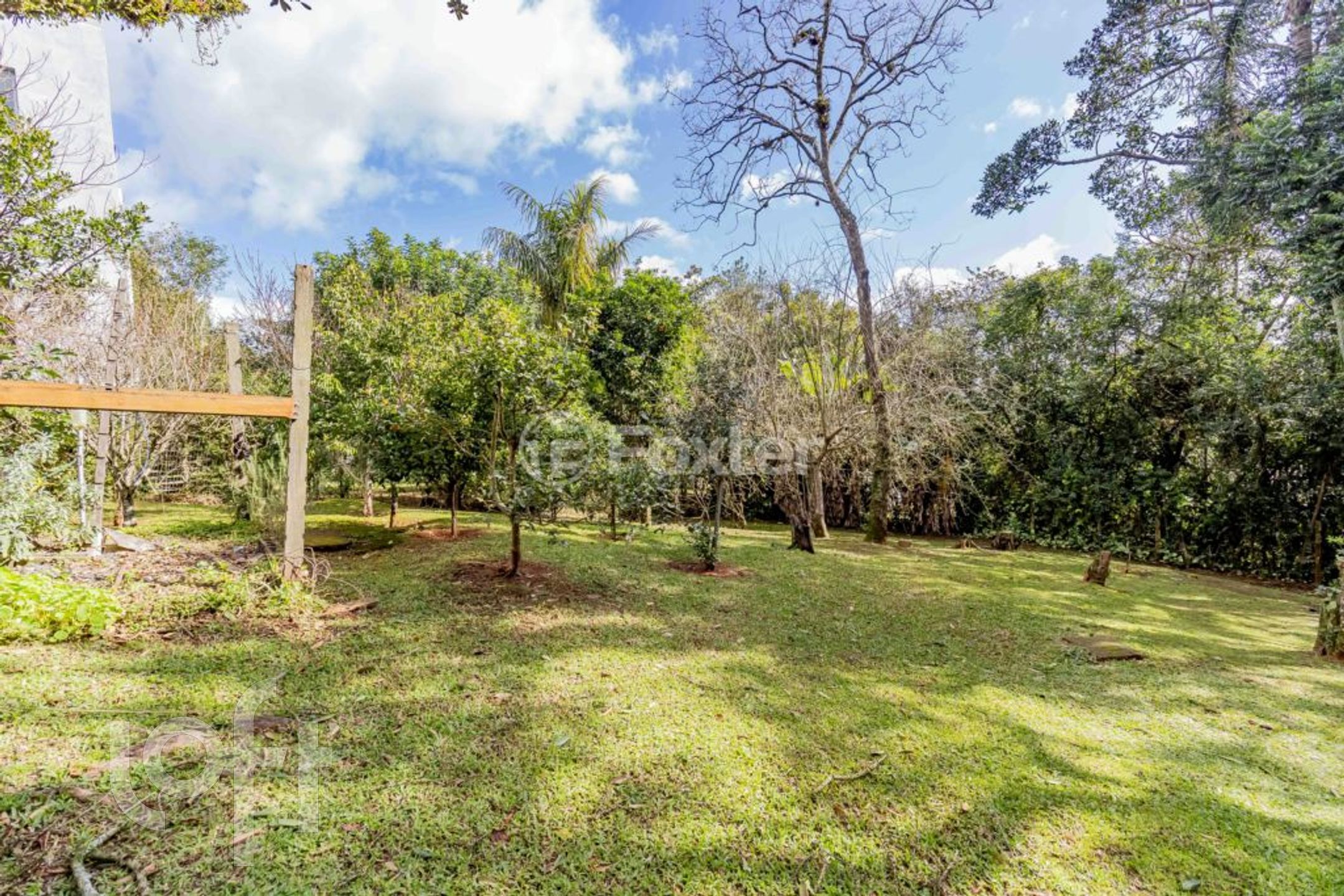 Imagem da propriedade 49