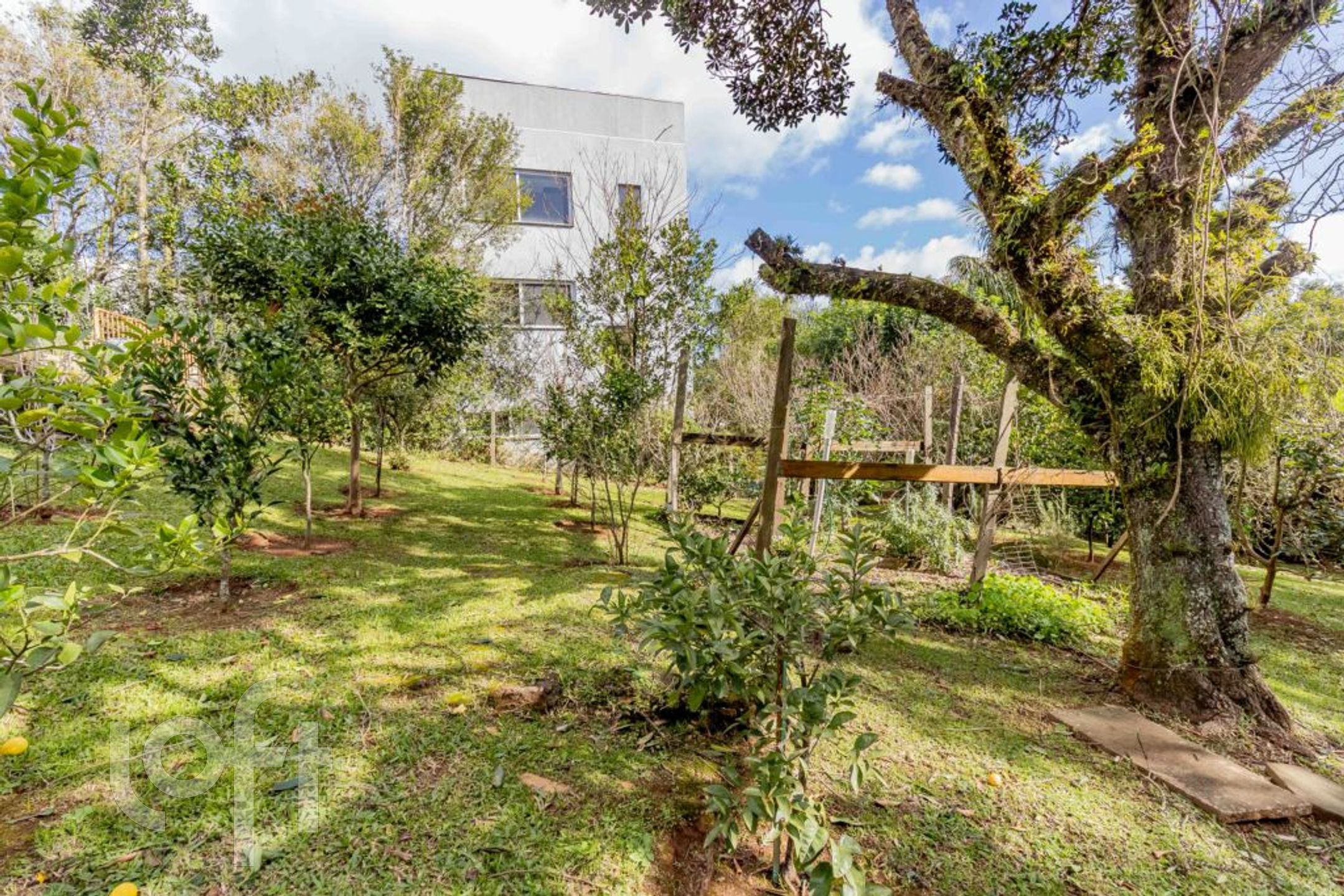 Imagem da propriedade 51