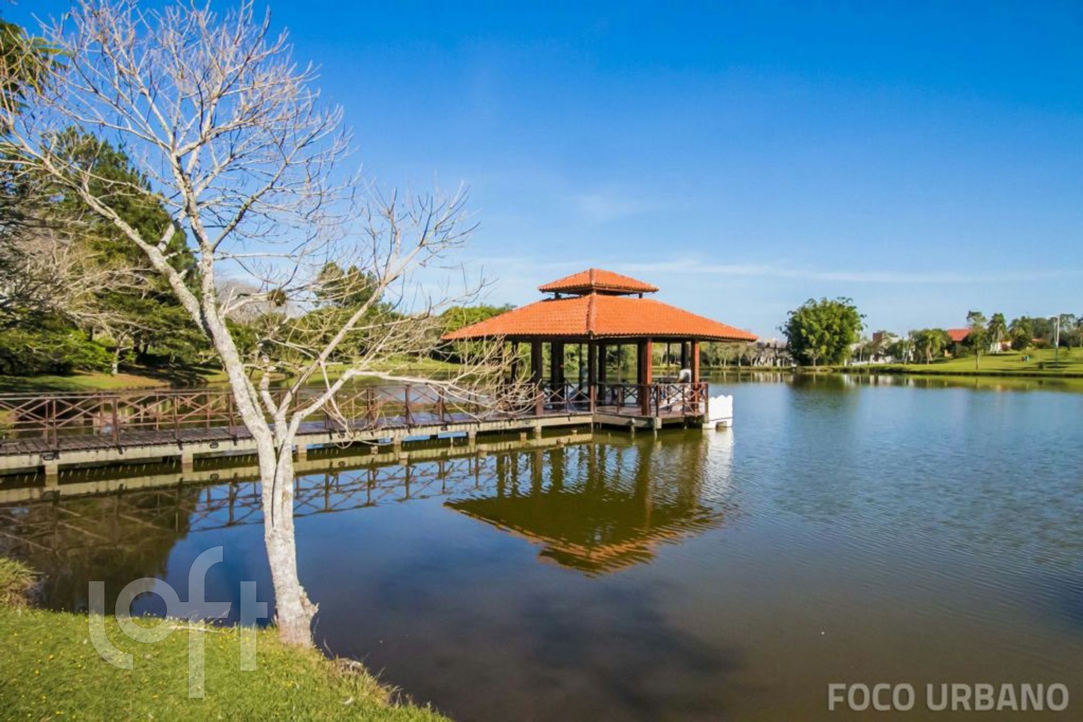 Imagem da propriedade 35