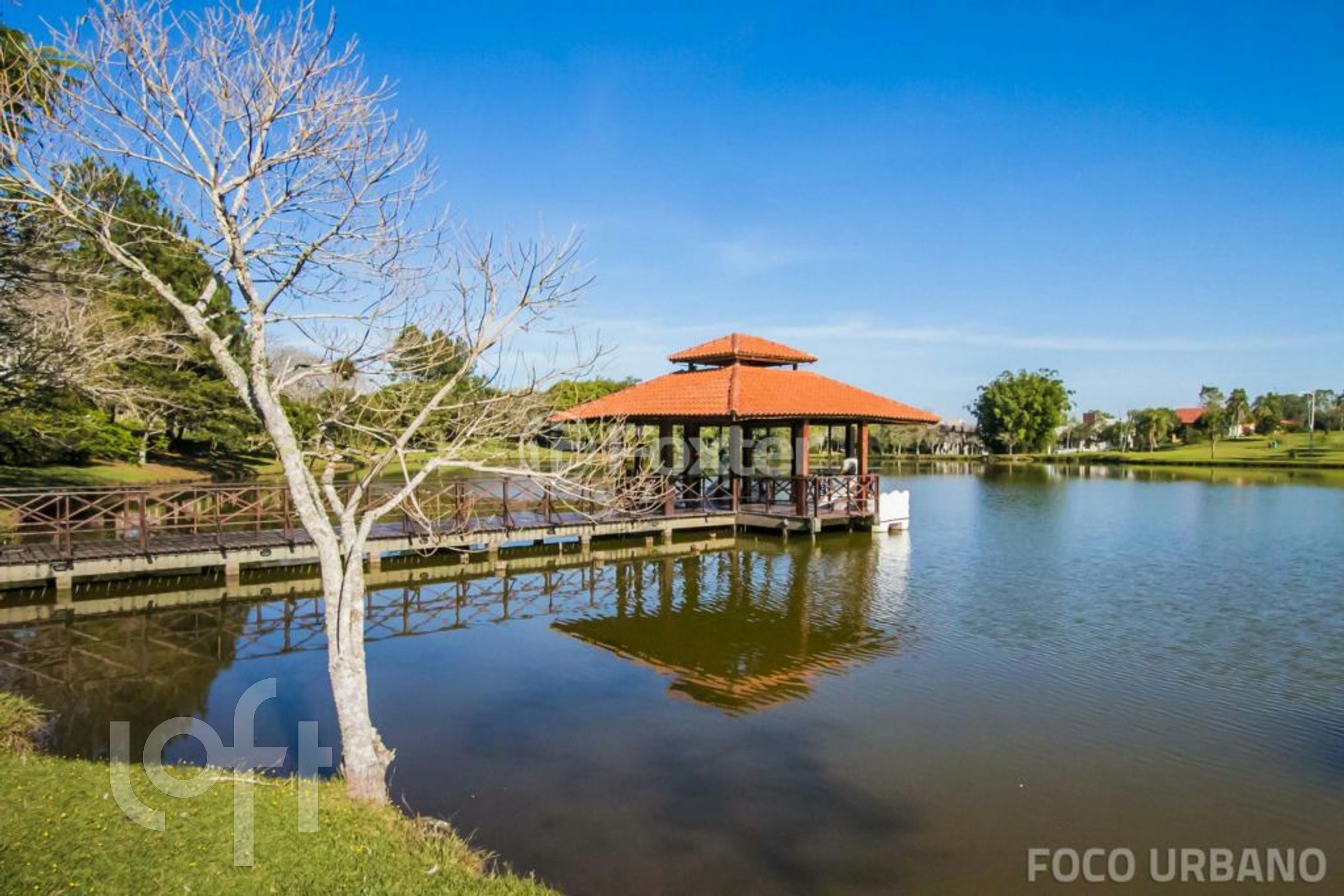 Imagem da propriedade 35