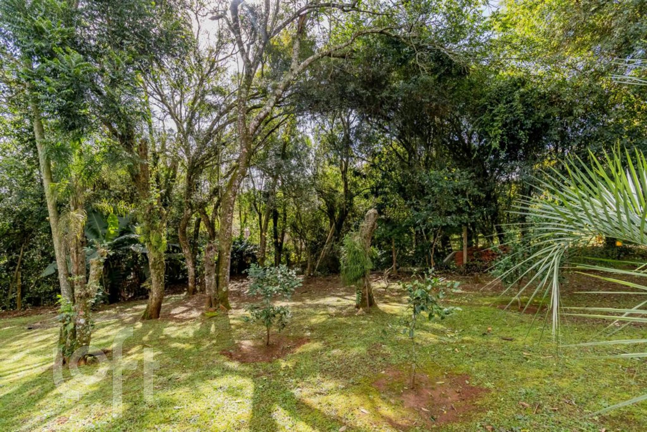 Imagem da propriedade 66