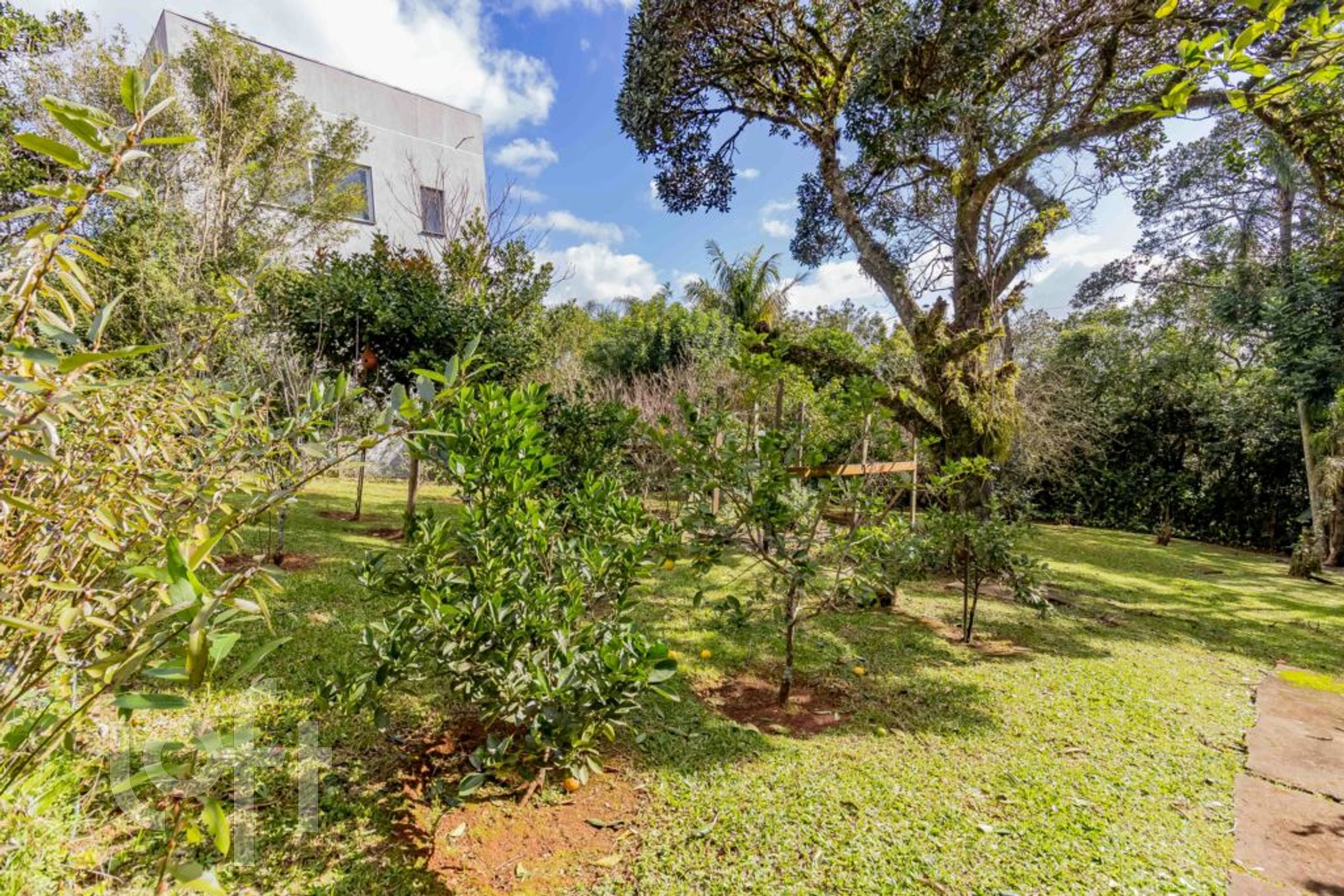 Imagem da propriedade 61