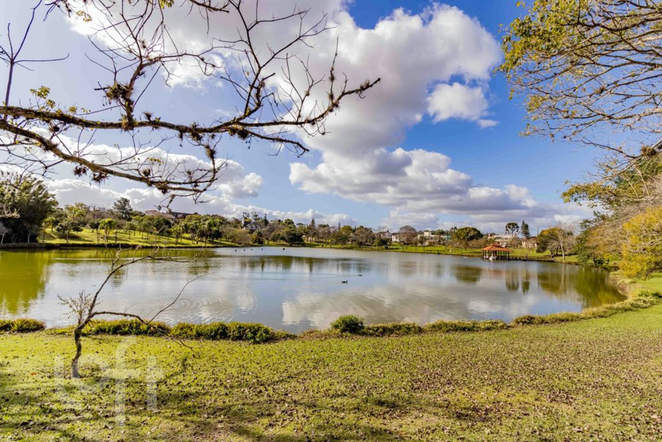 Imagem da propriedade 42