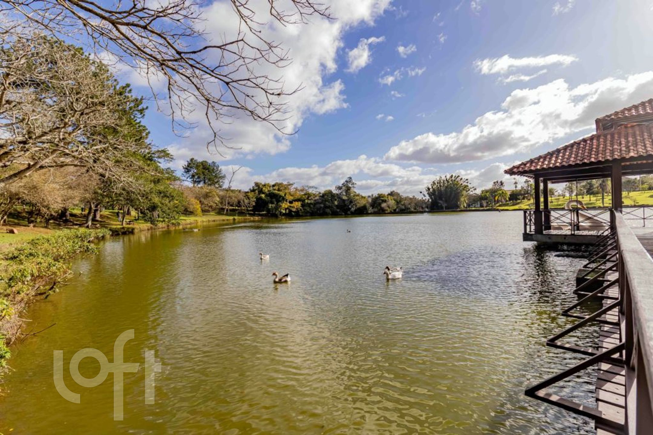 Imagem da propriedade 39