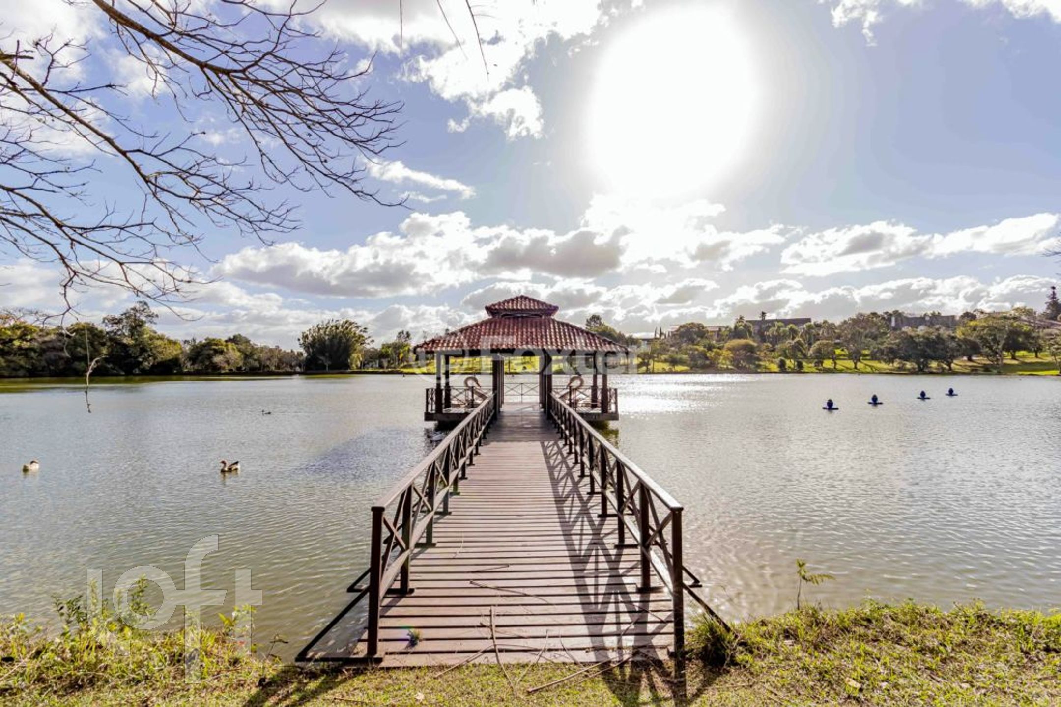 Imagem da propriedade 36