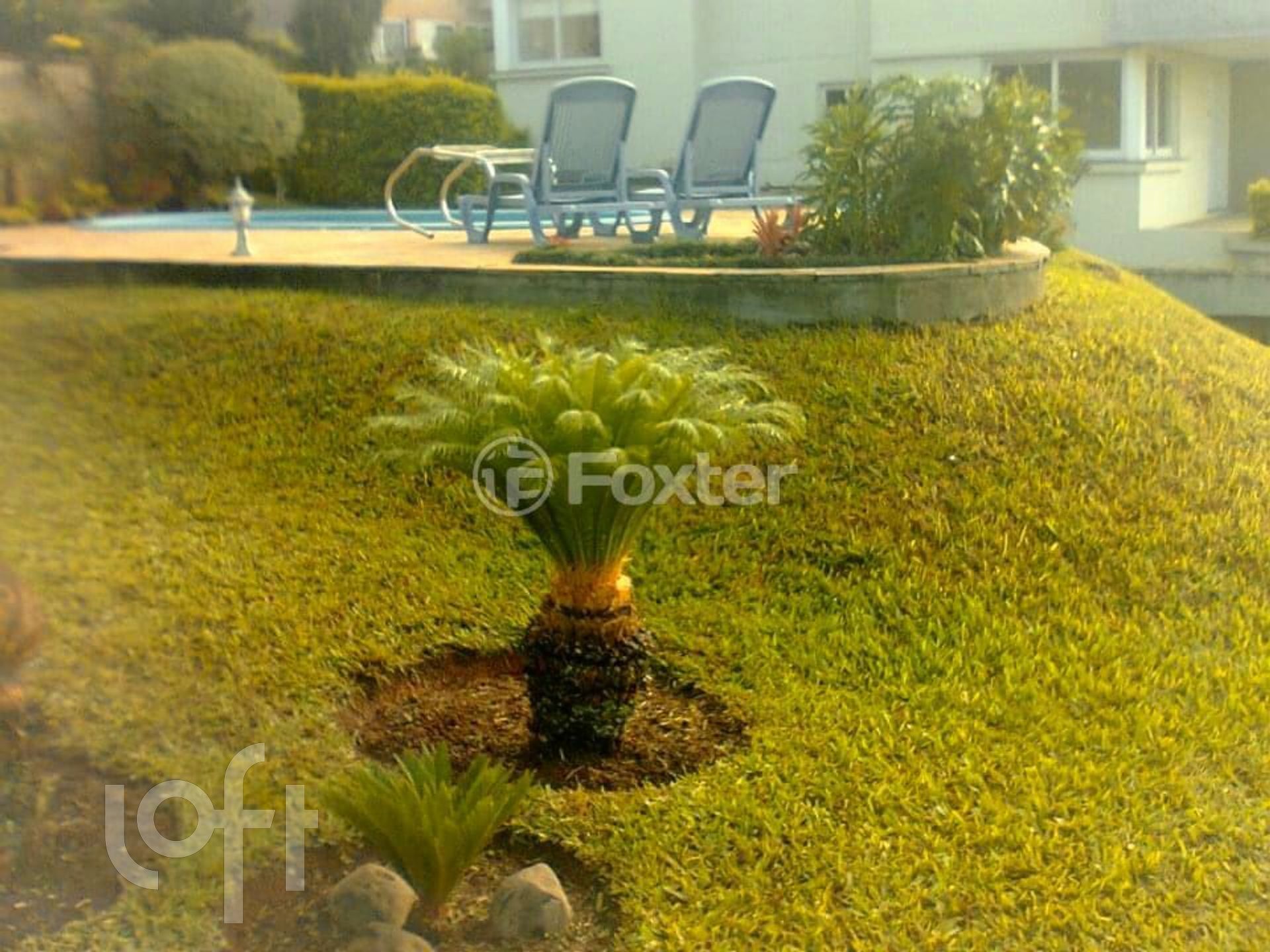 Imagem da propriedade 7