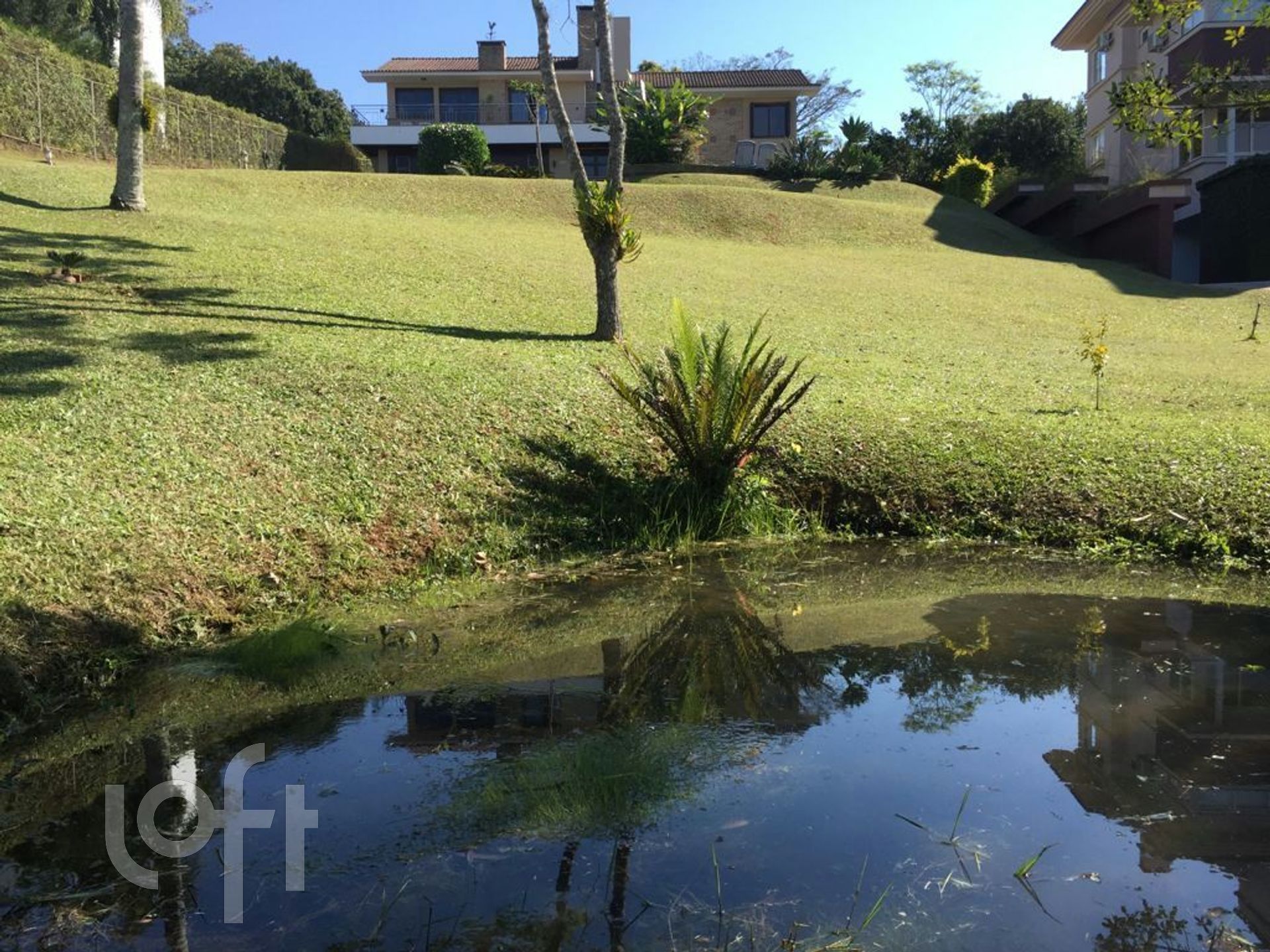 Imagem da propriedade 5