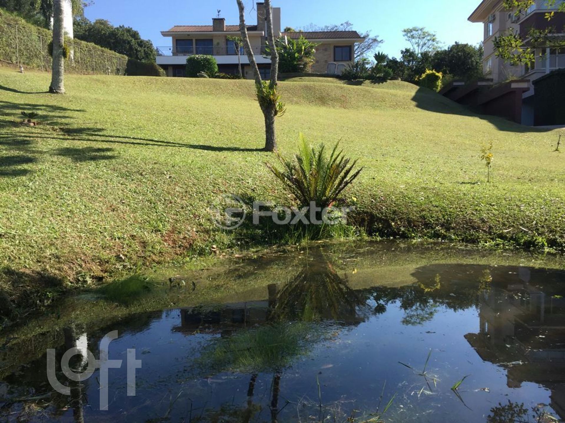 Imagem da propriedade 5