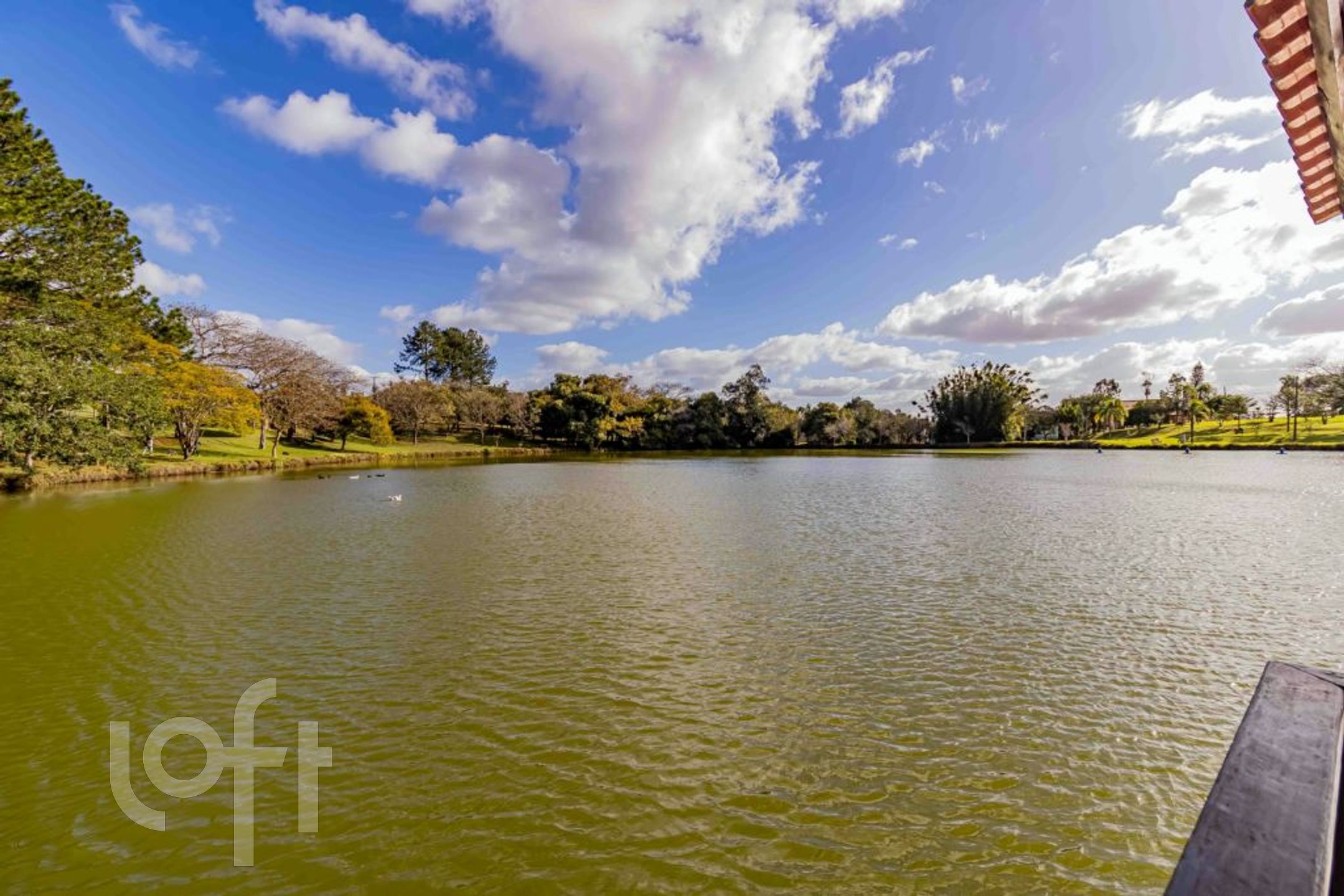 Imagem da propriedade 40