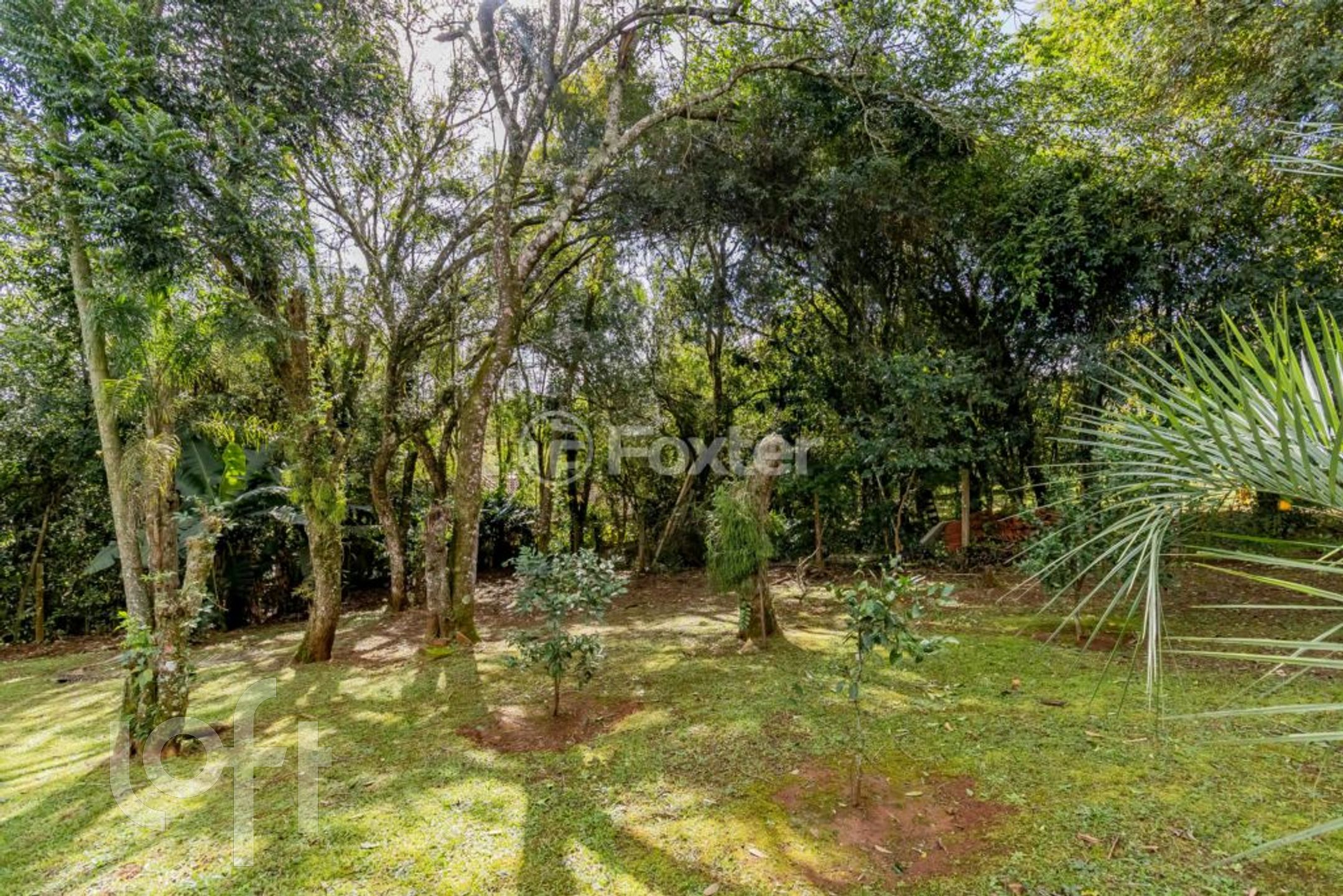 Imagem da propriedade 66