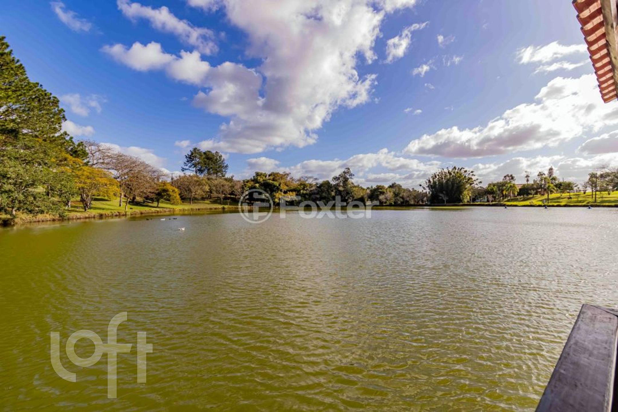 Imagem da propriedade 40