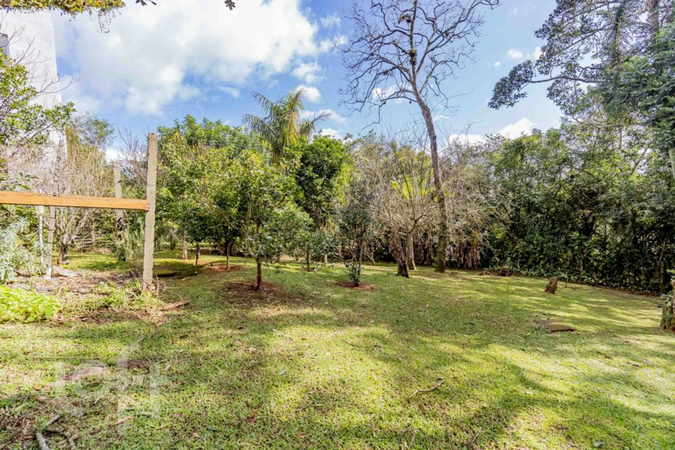 Imagem da propriedade 49