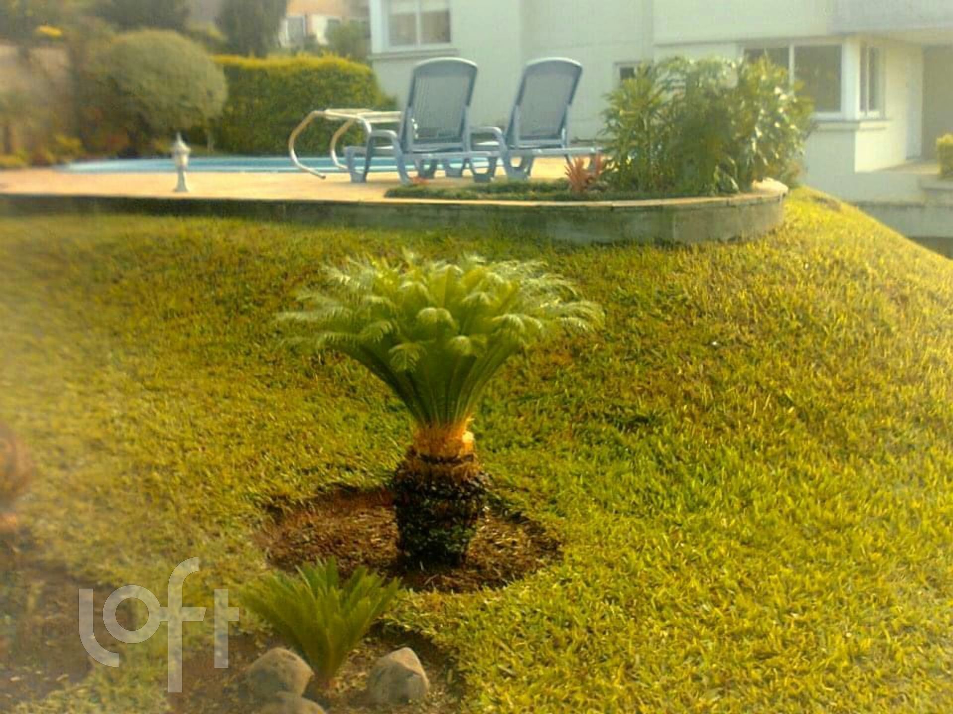 Imagem da propriedade 7