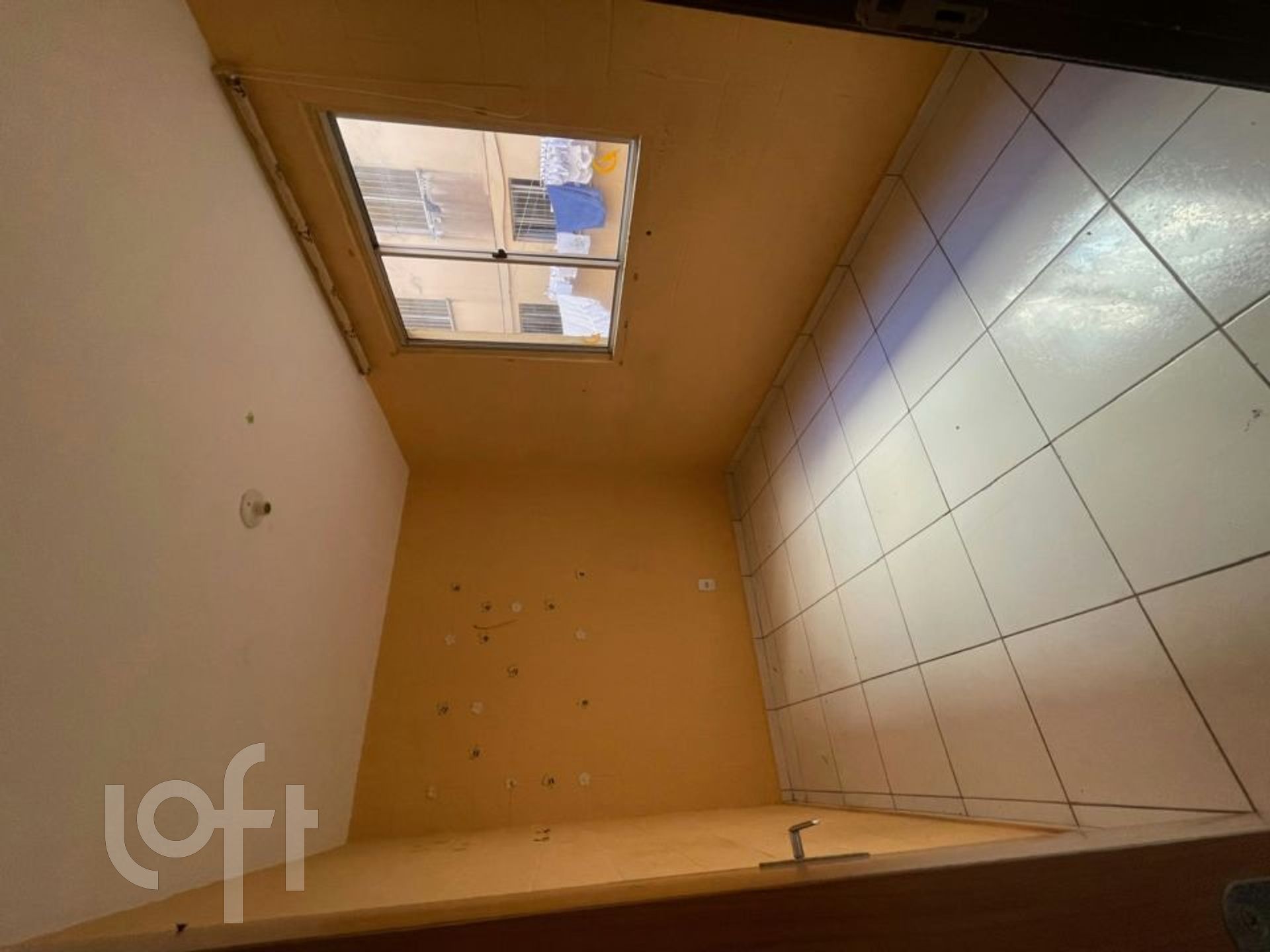 Imagem da propriedade 7