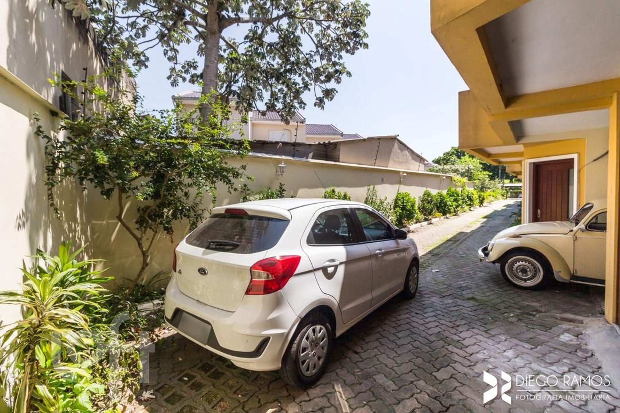 Imagem da propriedade 5