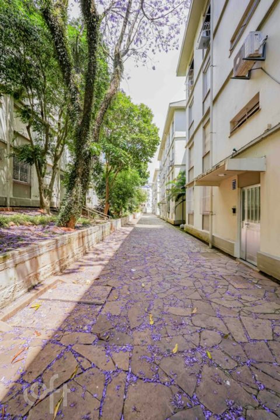 Imagem da propriedade 21