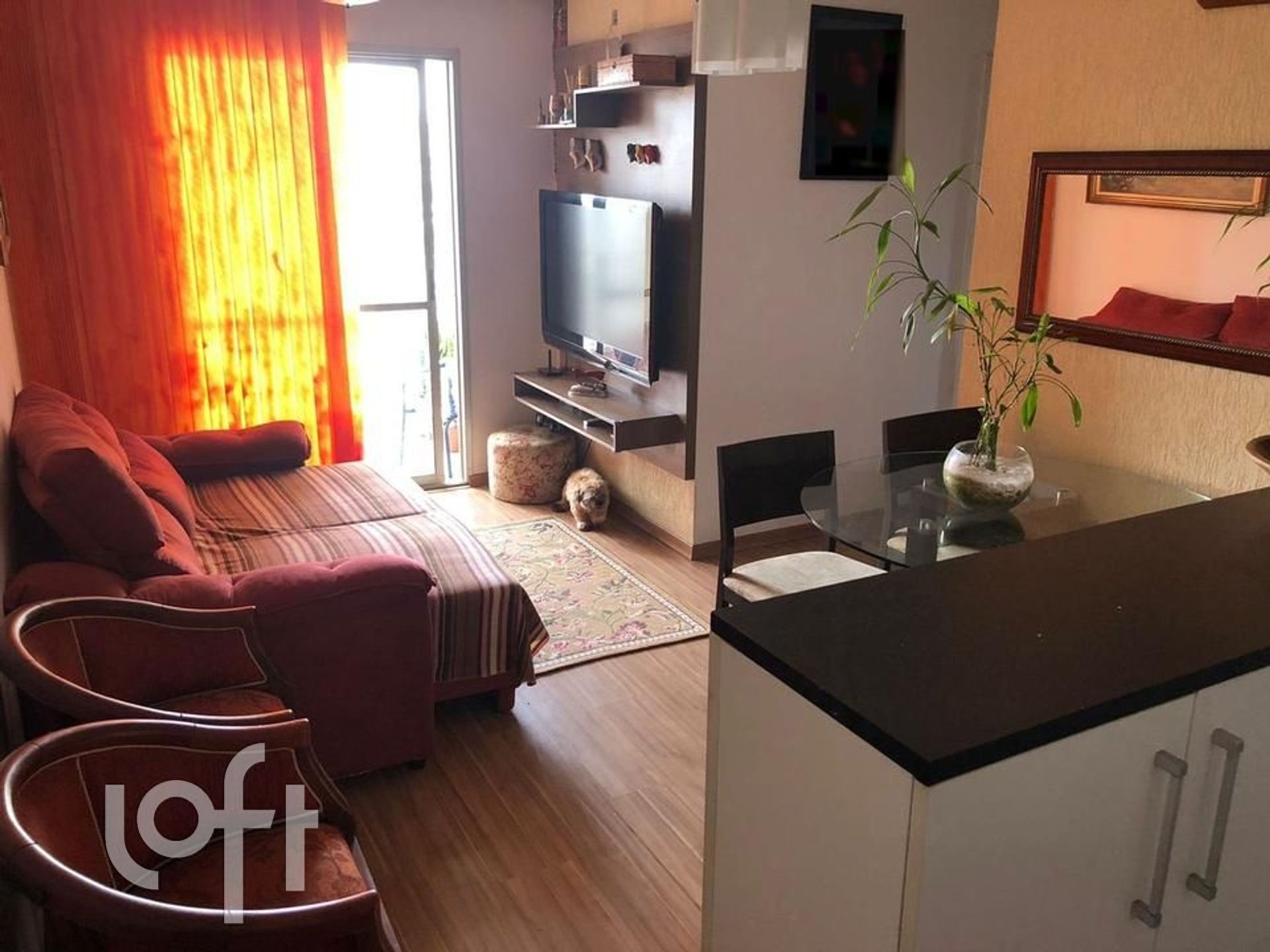 Apartamento à venda com 3 quartos, 65m² - Foto 6