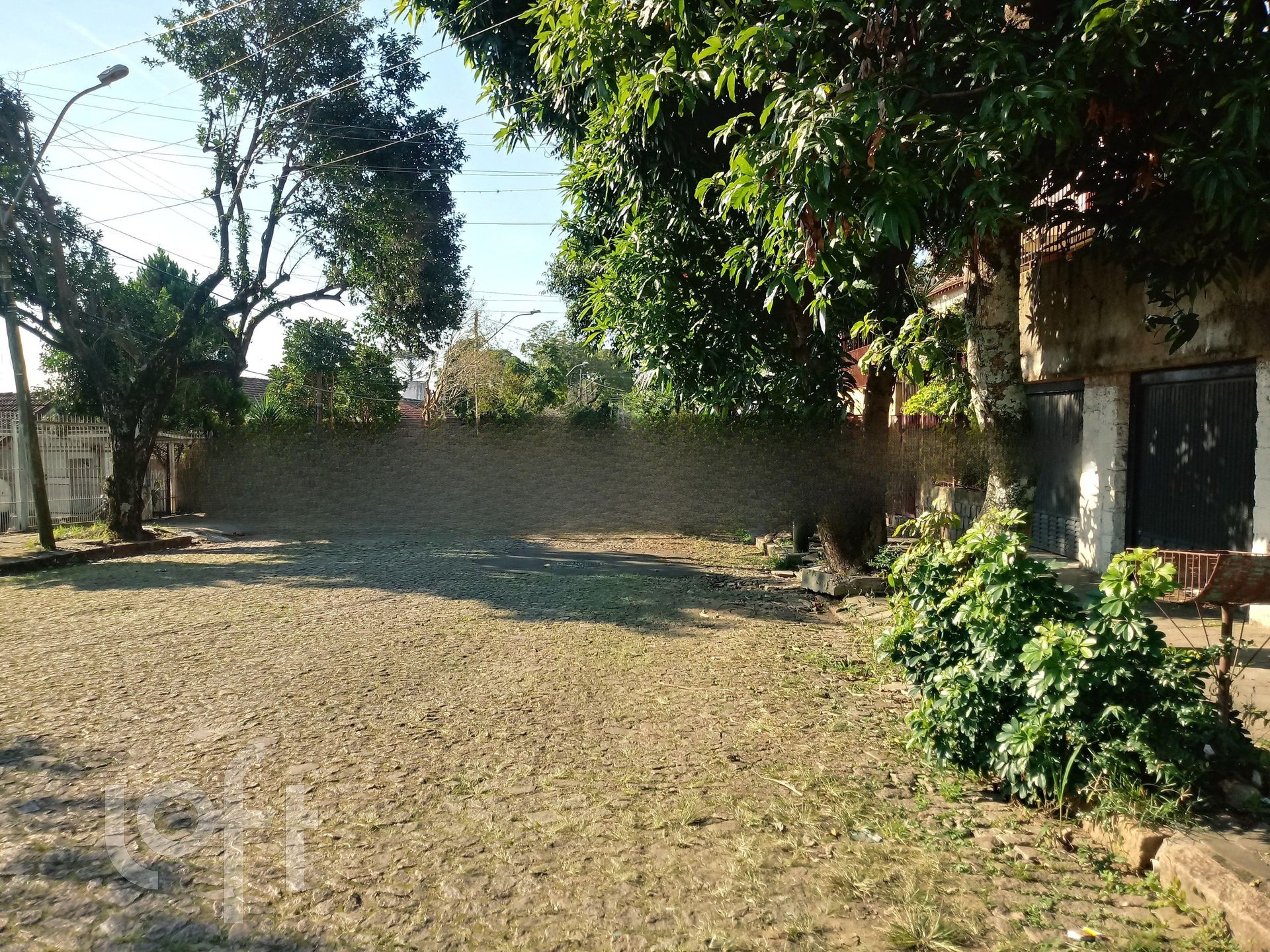 Imagem da propriedade 3