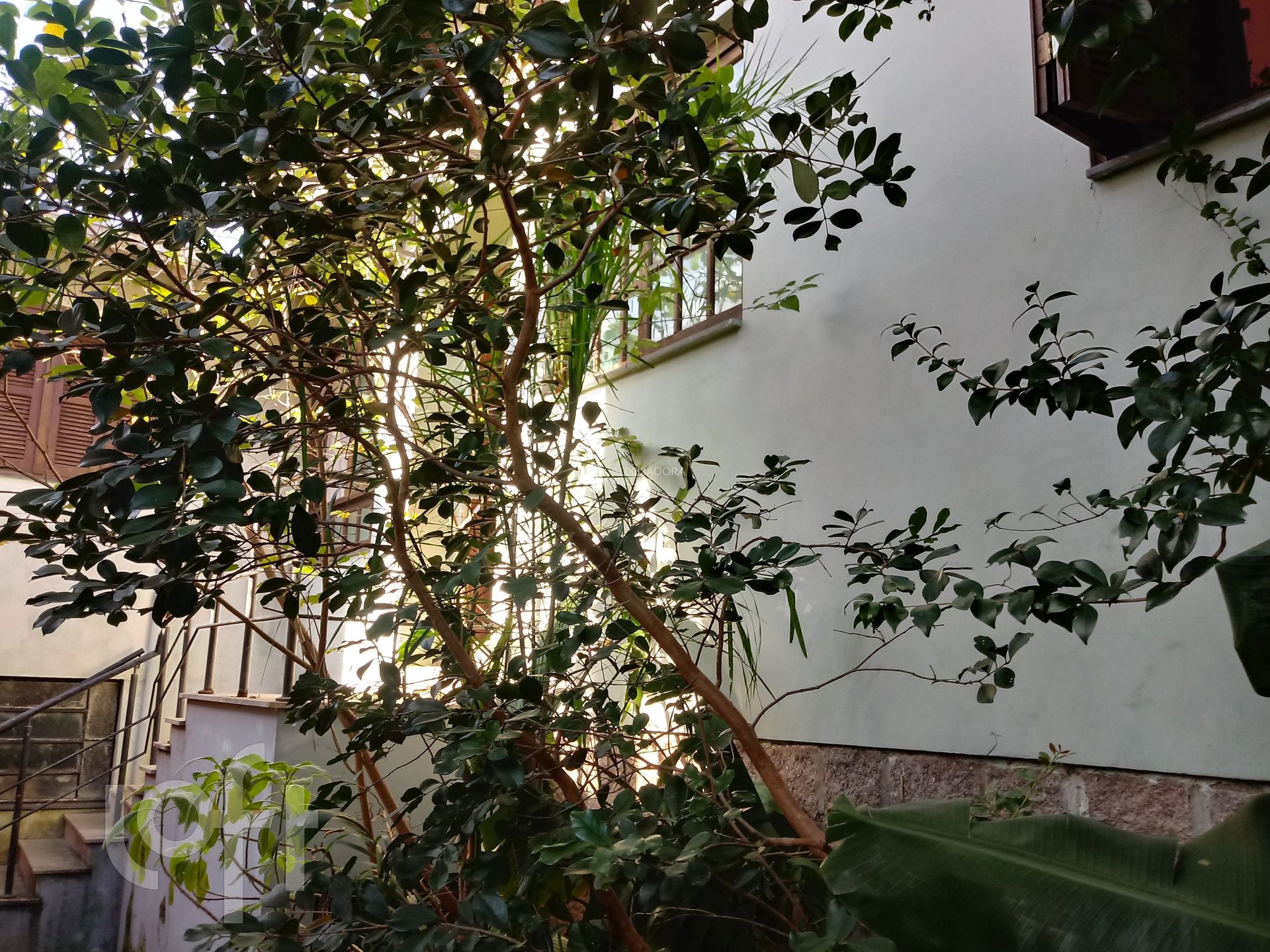 Imagem da propriedade 18