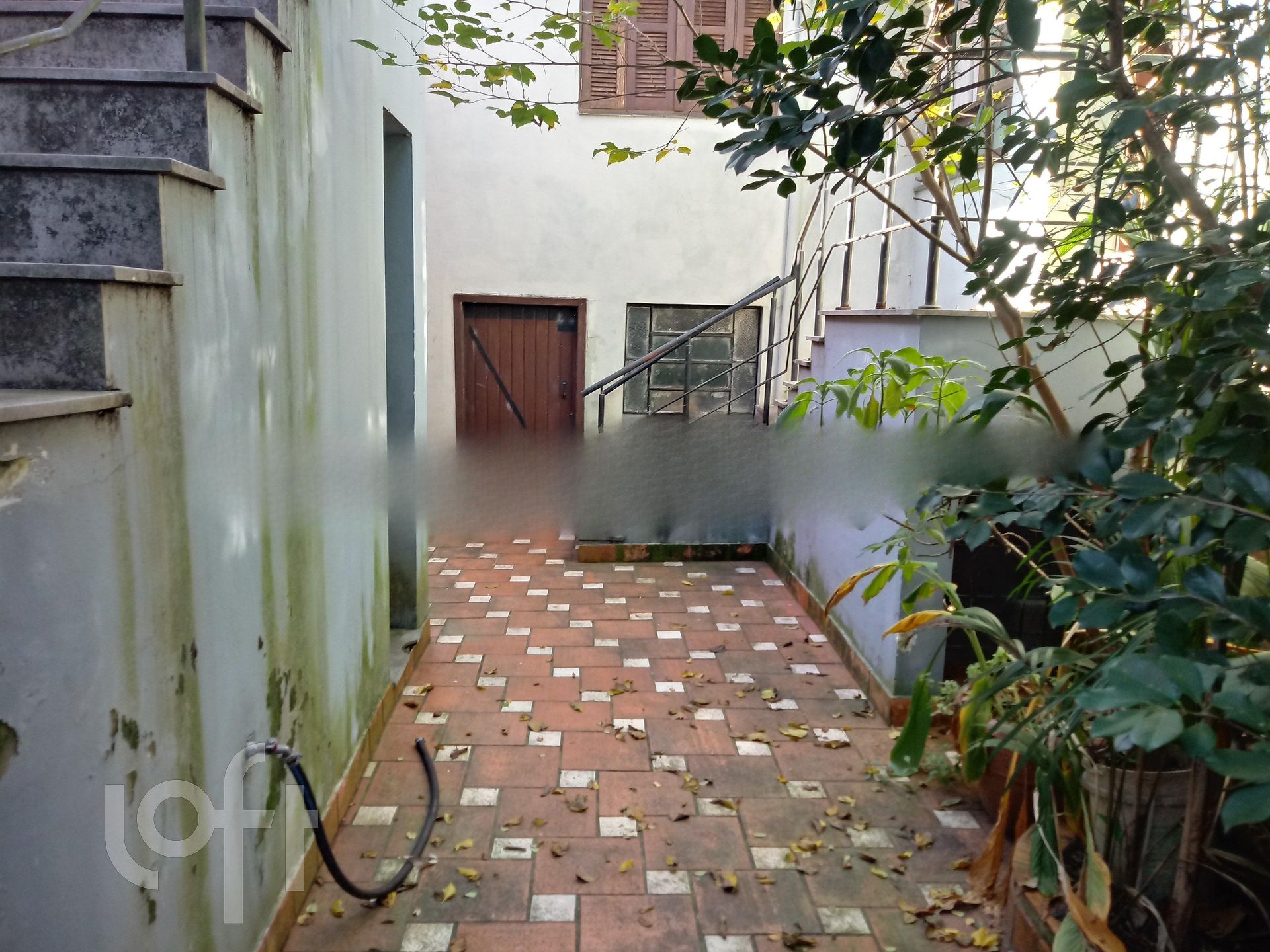 Imagem da propriedade 11