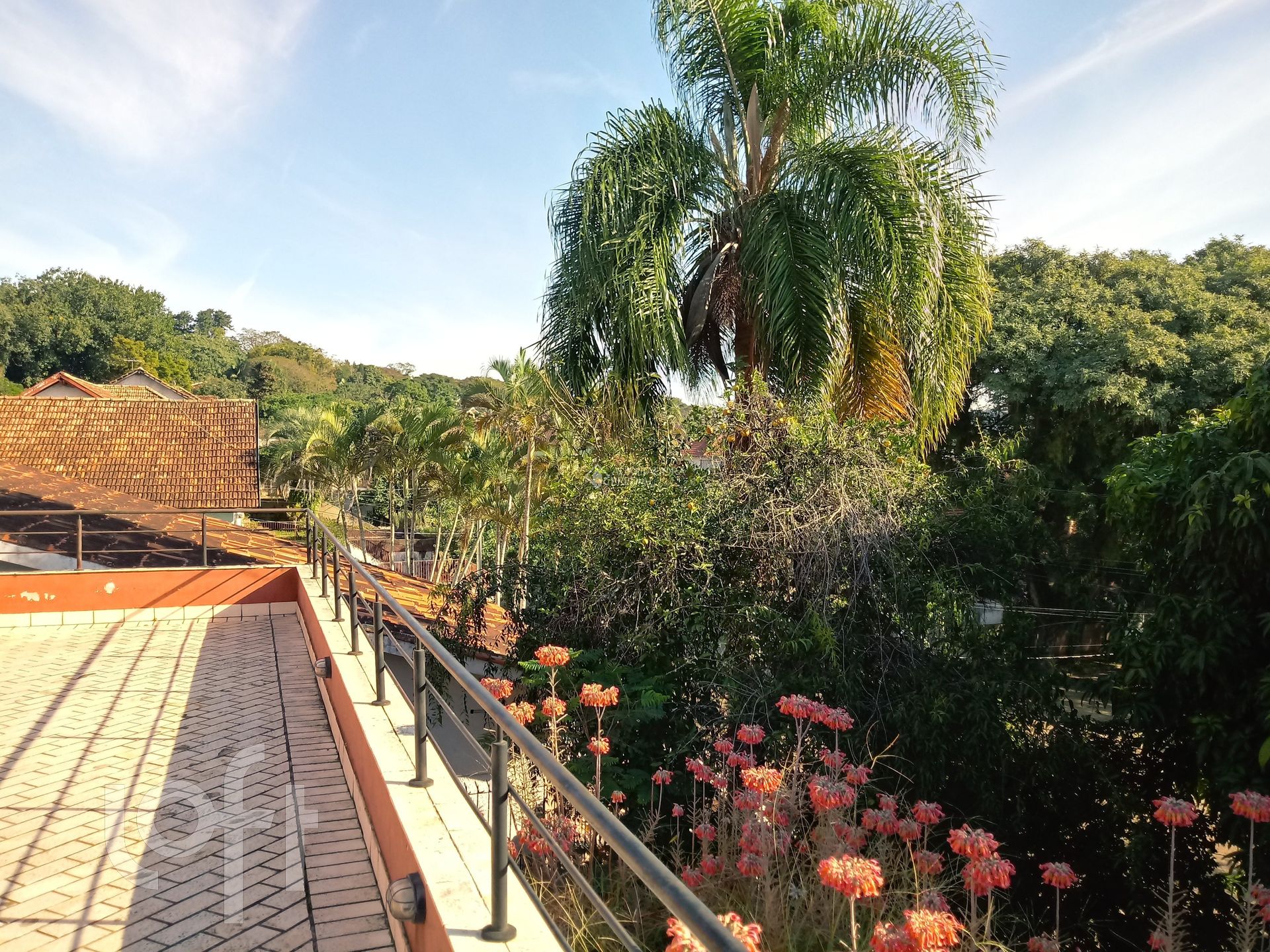 Imagem da propriedade 6