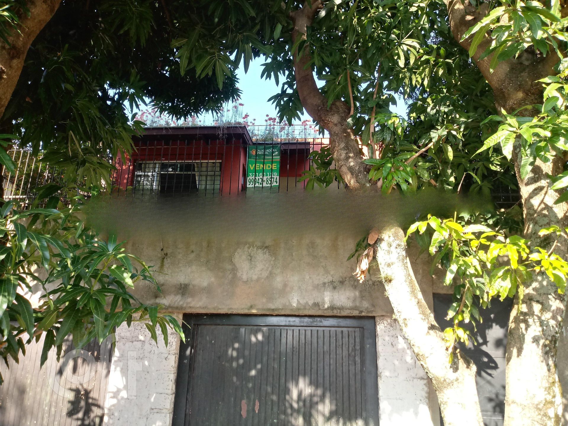 Imagem da propriedade 26