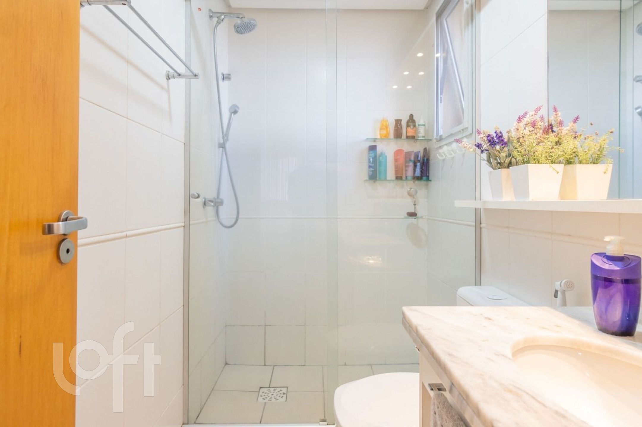 Imagem da propriedade 9