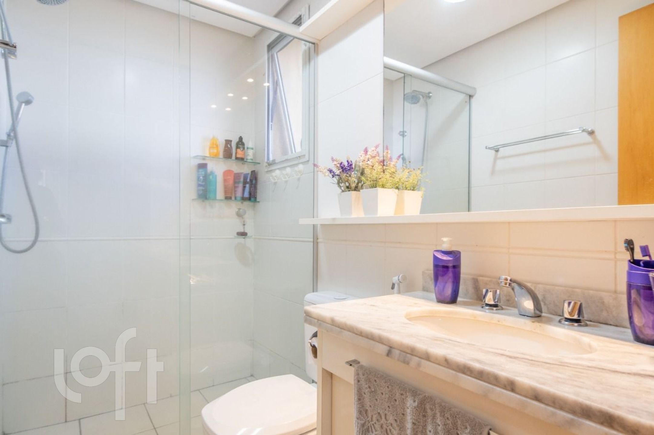 Imagem da propriedade 8