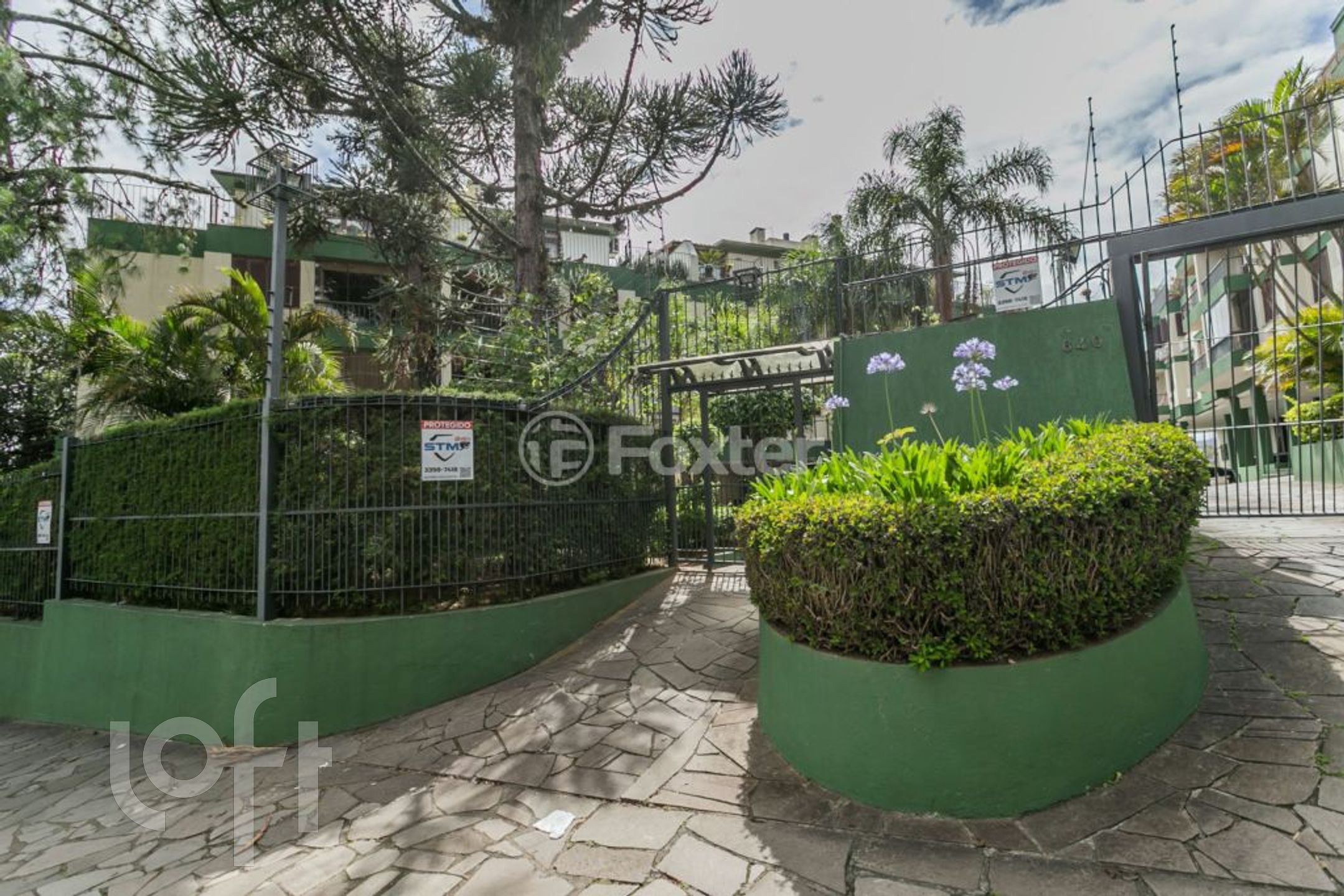 Imagem da propriedade 3