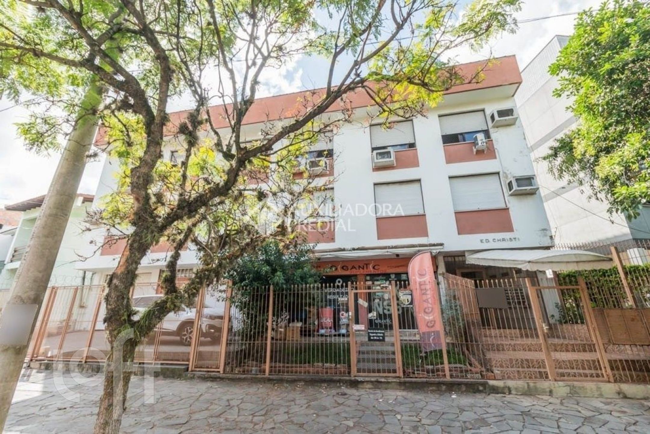 Imagem da propriedade 12