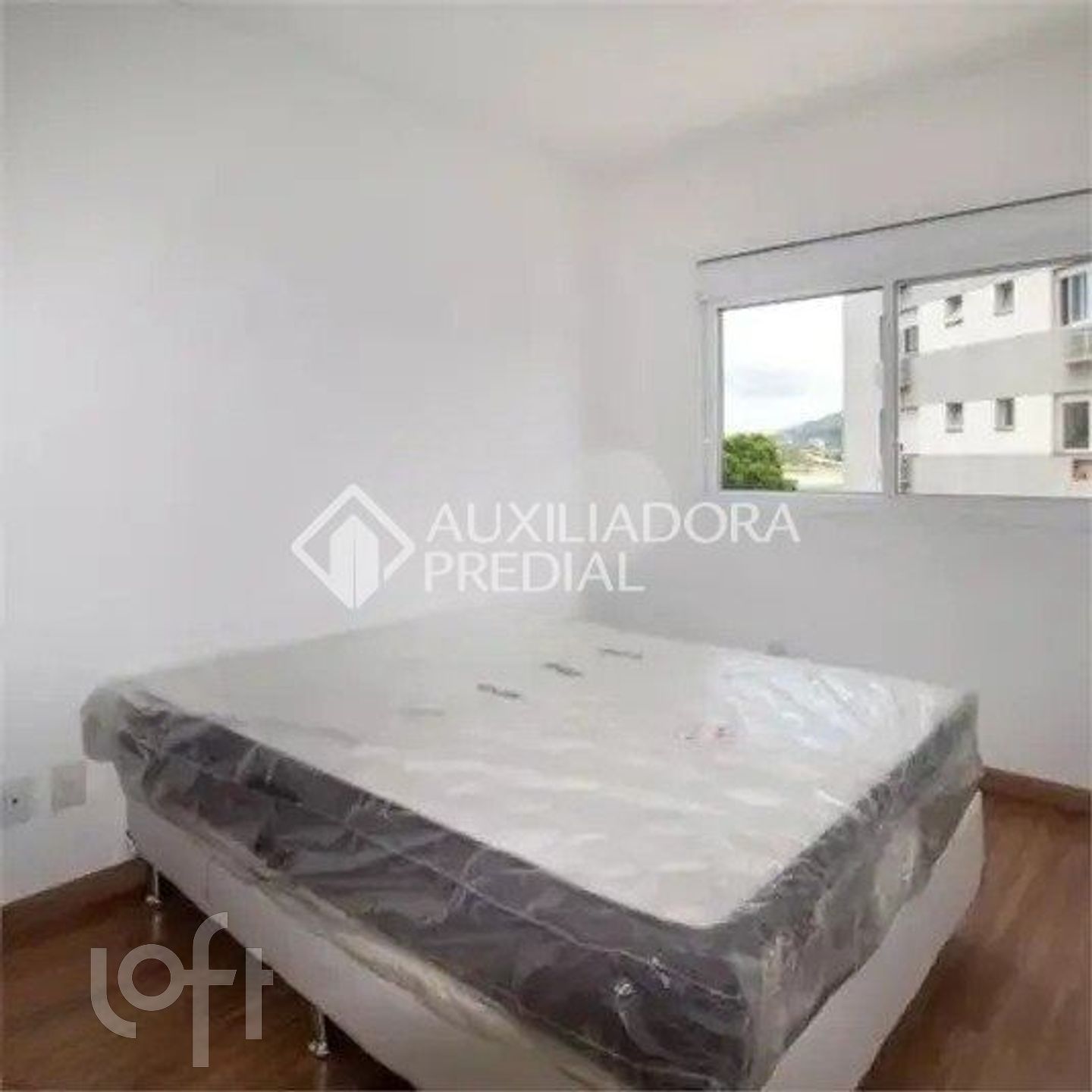 Imagem da propriedade 6