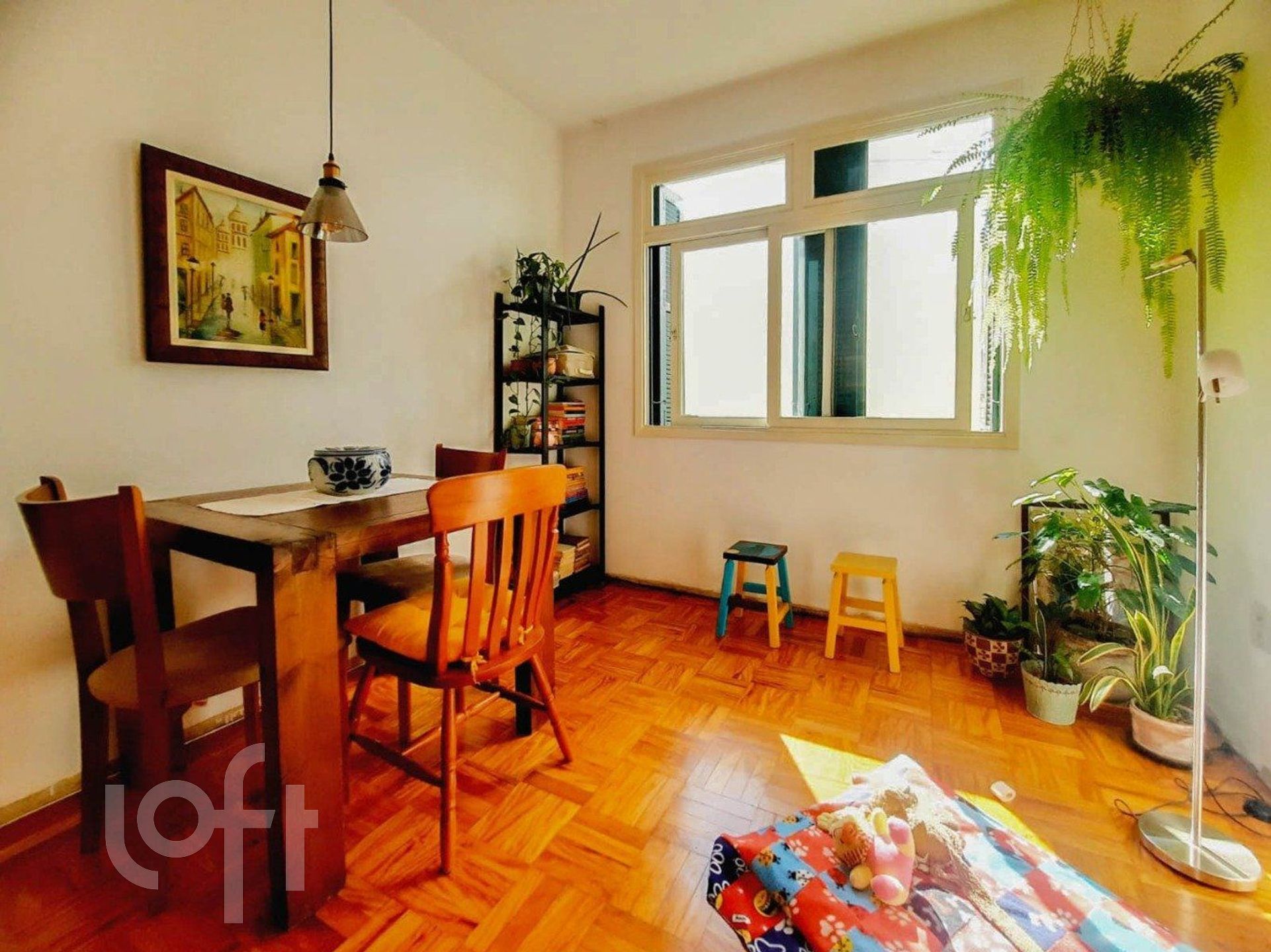 Imagem da propriedade 3