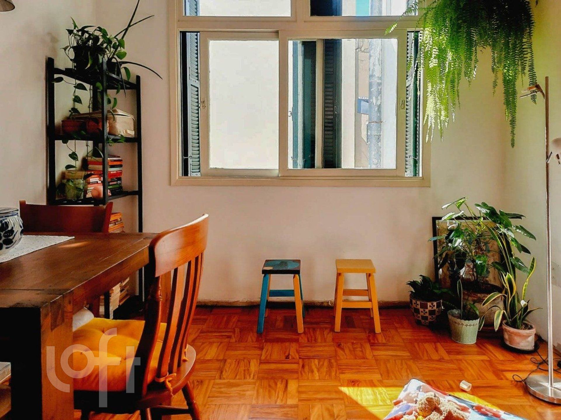 Imagem da propriedade 4