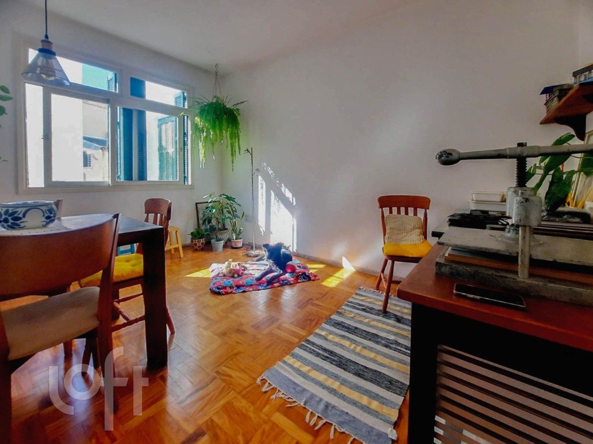 Imagem da propriedade 7