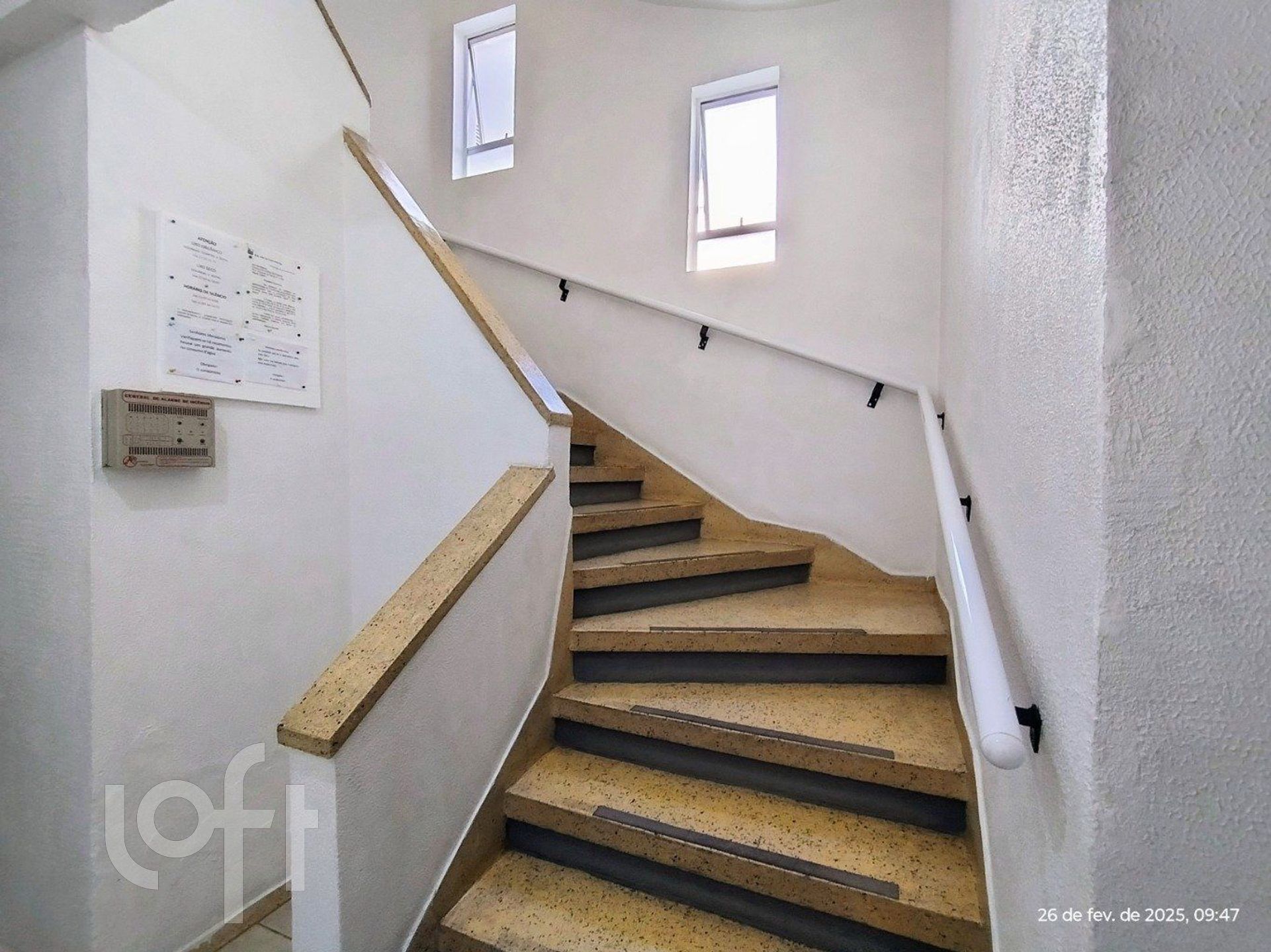 Imagem da propriedade 6